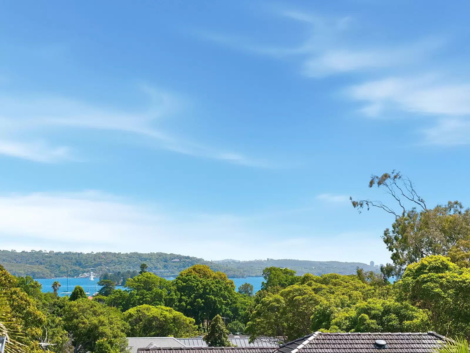 77 Beresford Road, Bellevue Hill Sold by Sydney Sotheby's International Realty - image 23