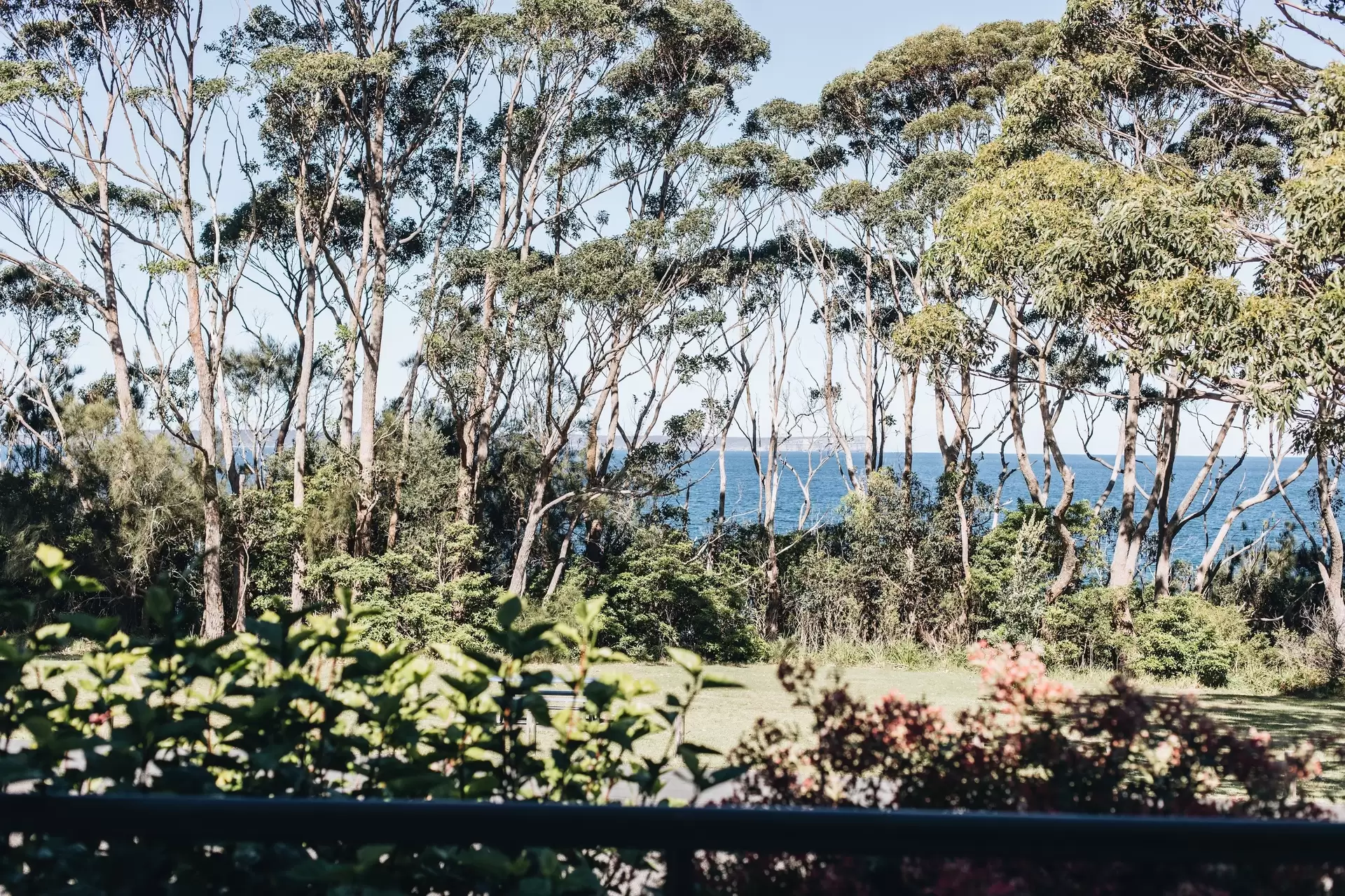 29 Cyrus Street, Hyams Beach Sold by Sydney Sotheby's International Realty - image 15