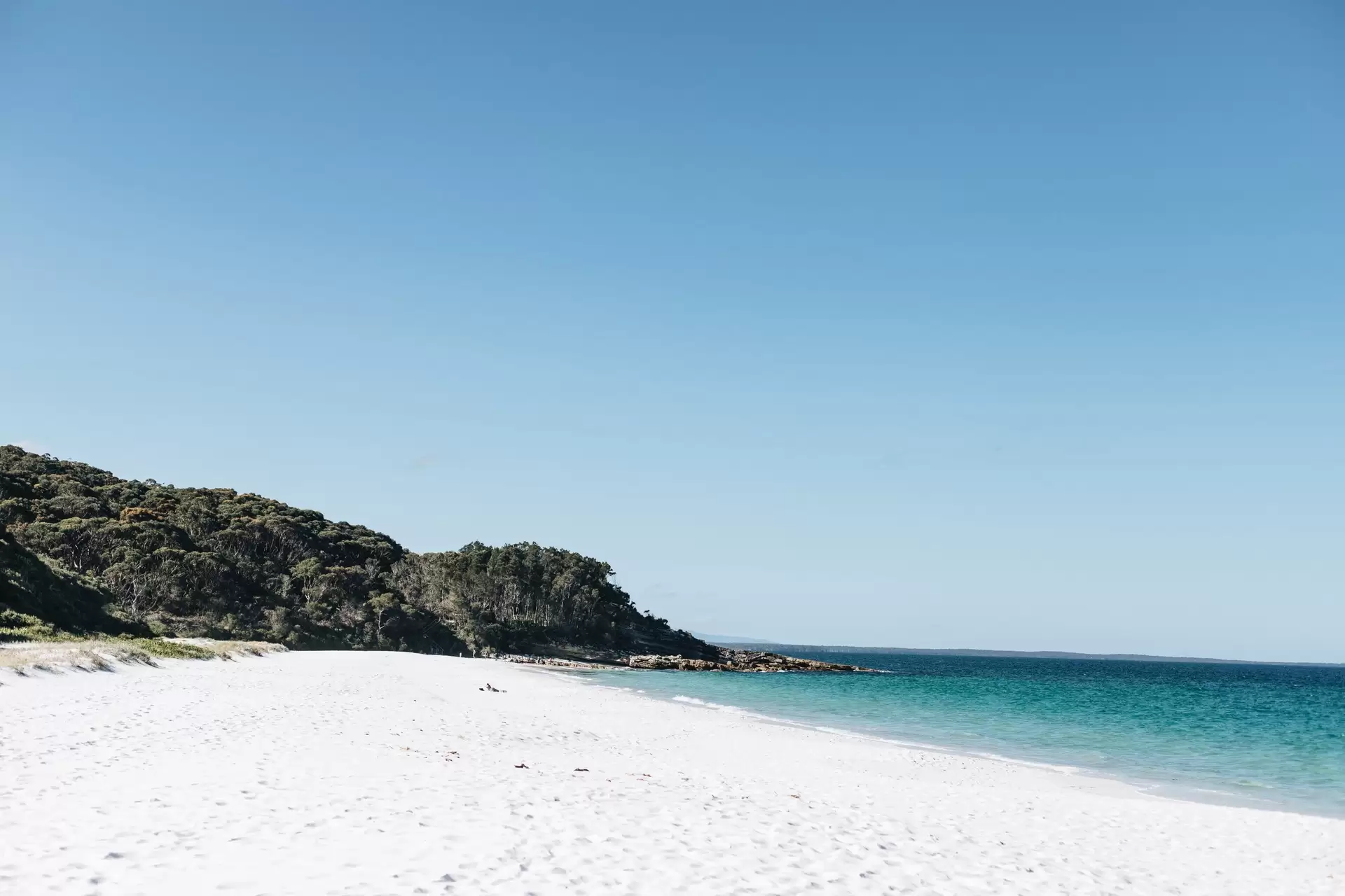 29 Cyrus Street, Hyams Beach Sold by Sydney Sotheby's International Realty - image 20