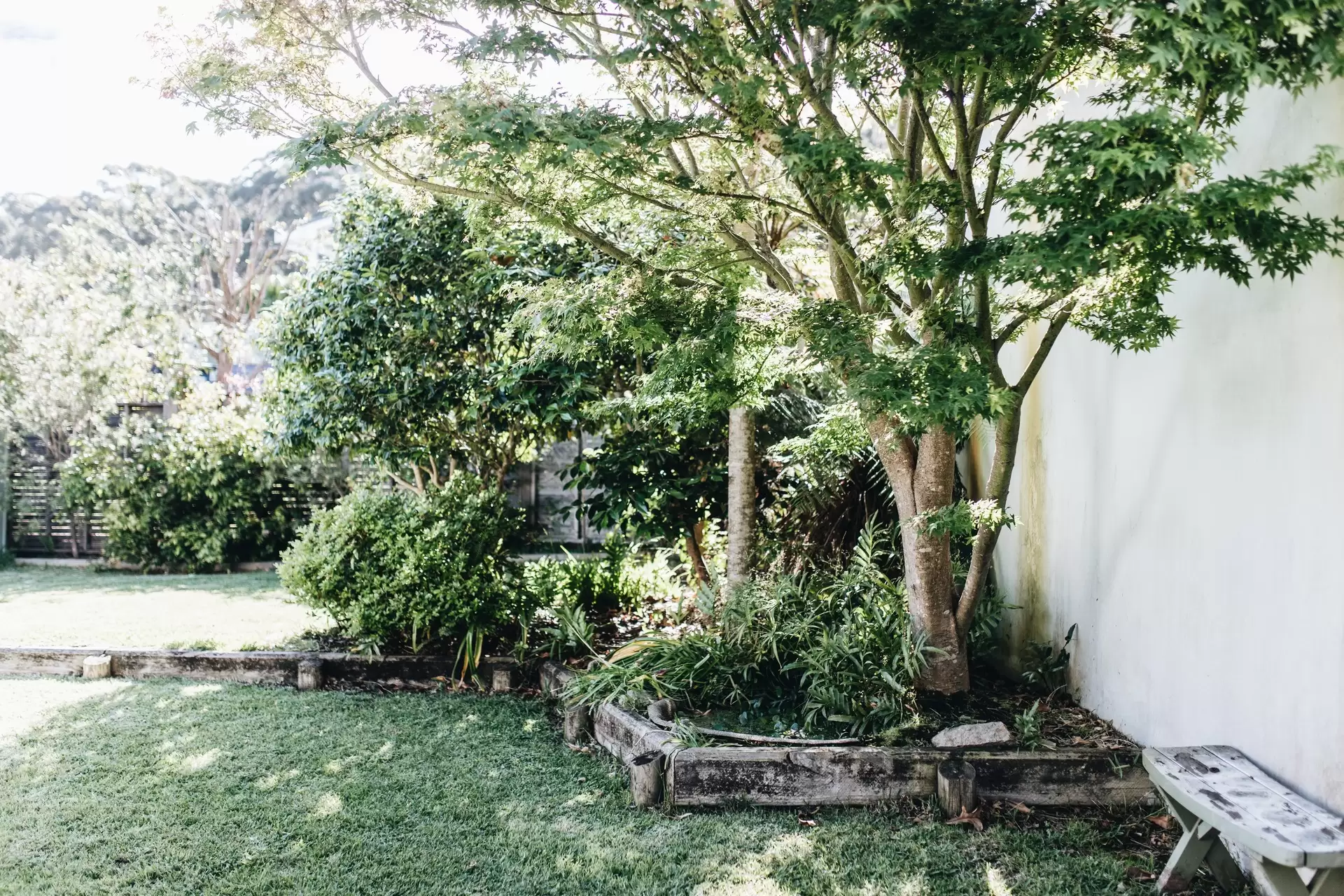 29 Cyrus Street, Hyams Beach Sold by Sydney Sotheby's International Realty - image 19