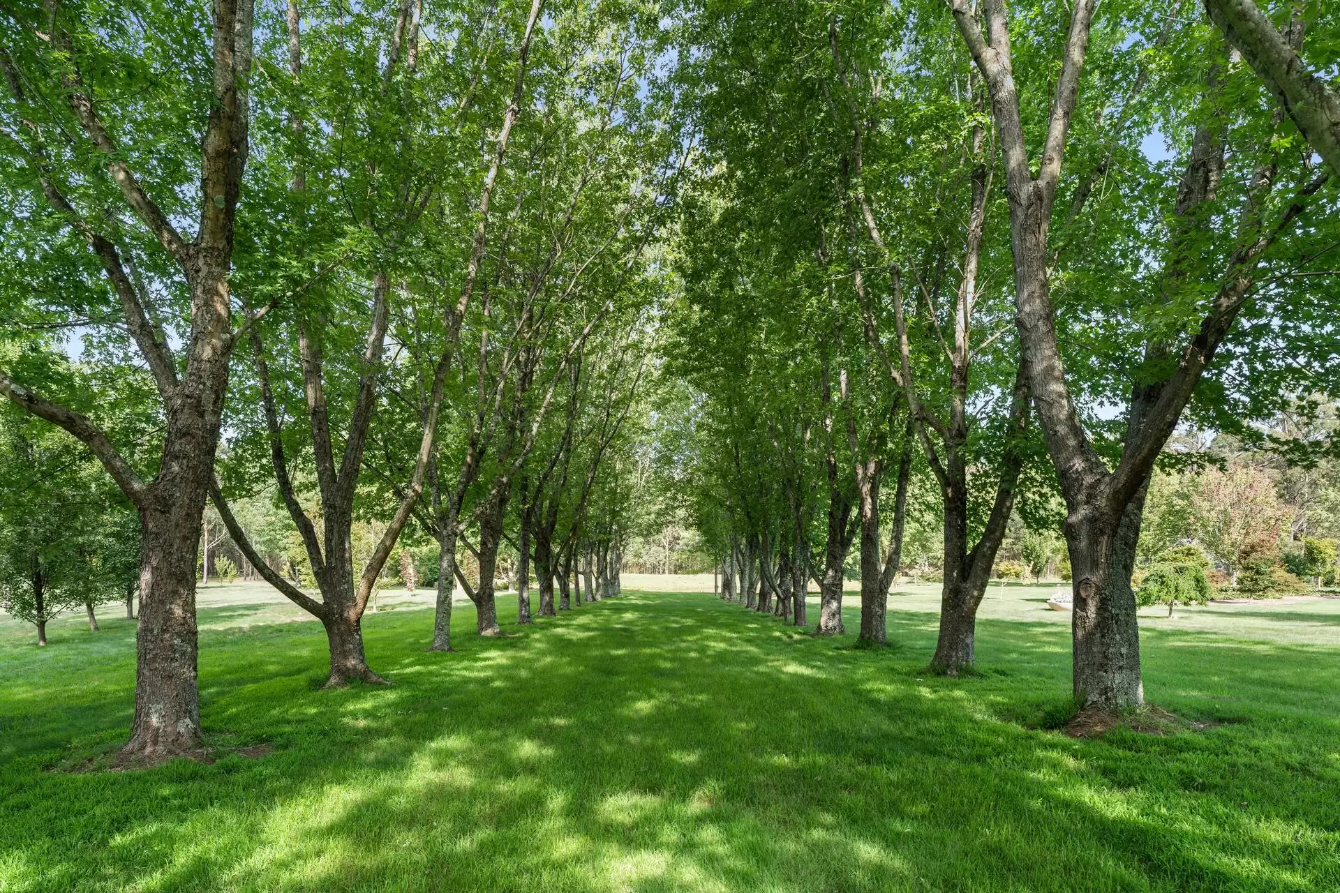 11 Evelyn Avenue, Bundanoon For Sale by Sydney Sotheby's International Realty - image 35