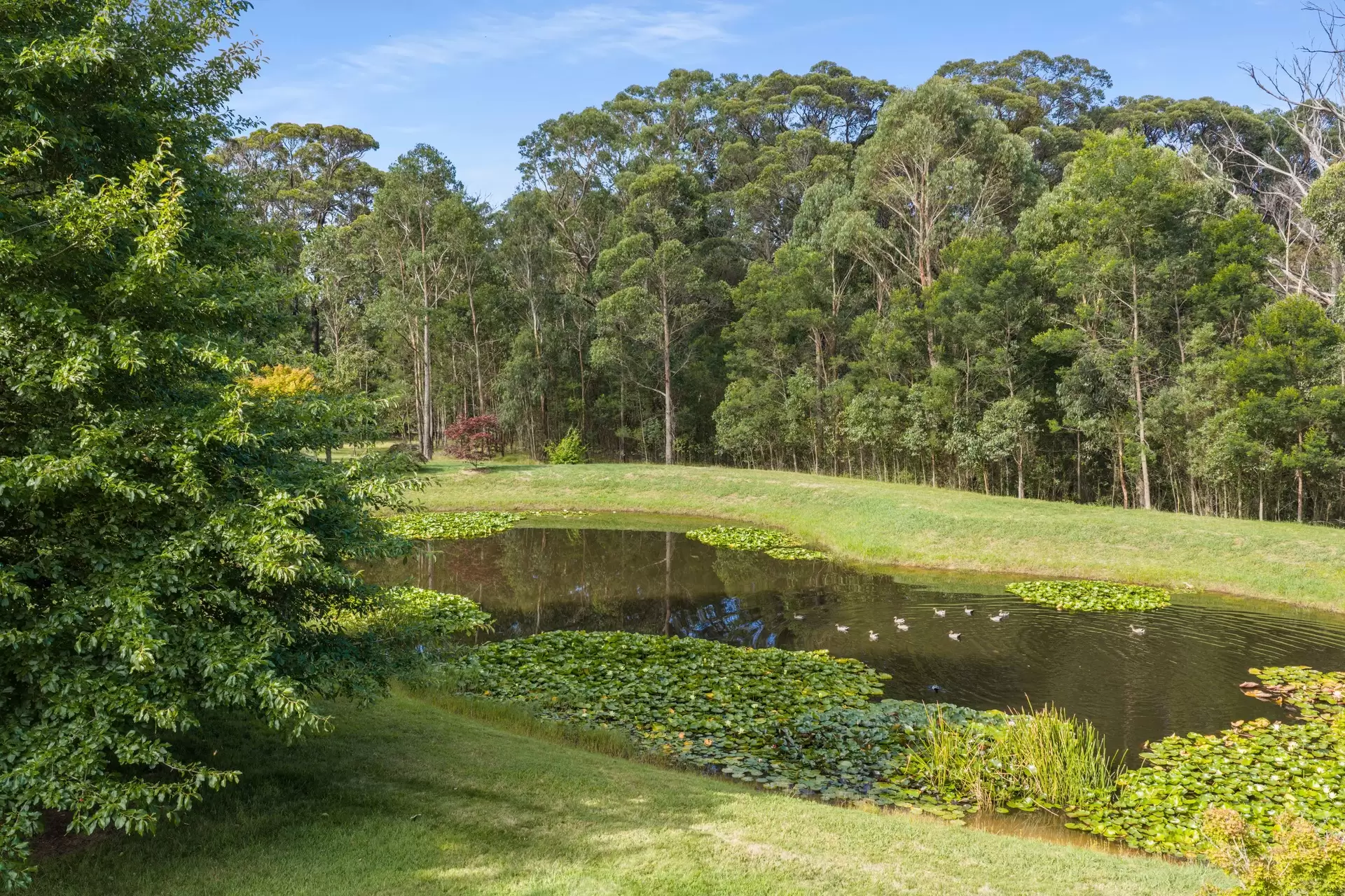 11 Evelyn Avenue, Bundanoon For Sale by Sydney Sotheby's International Realty - image 34