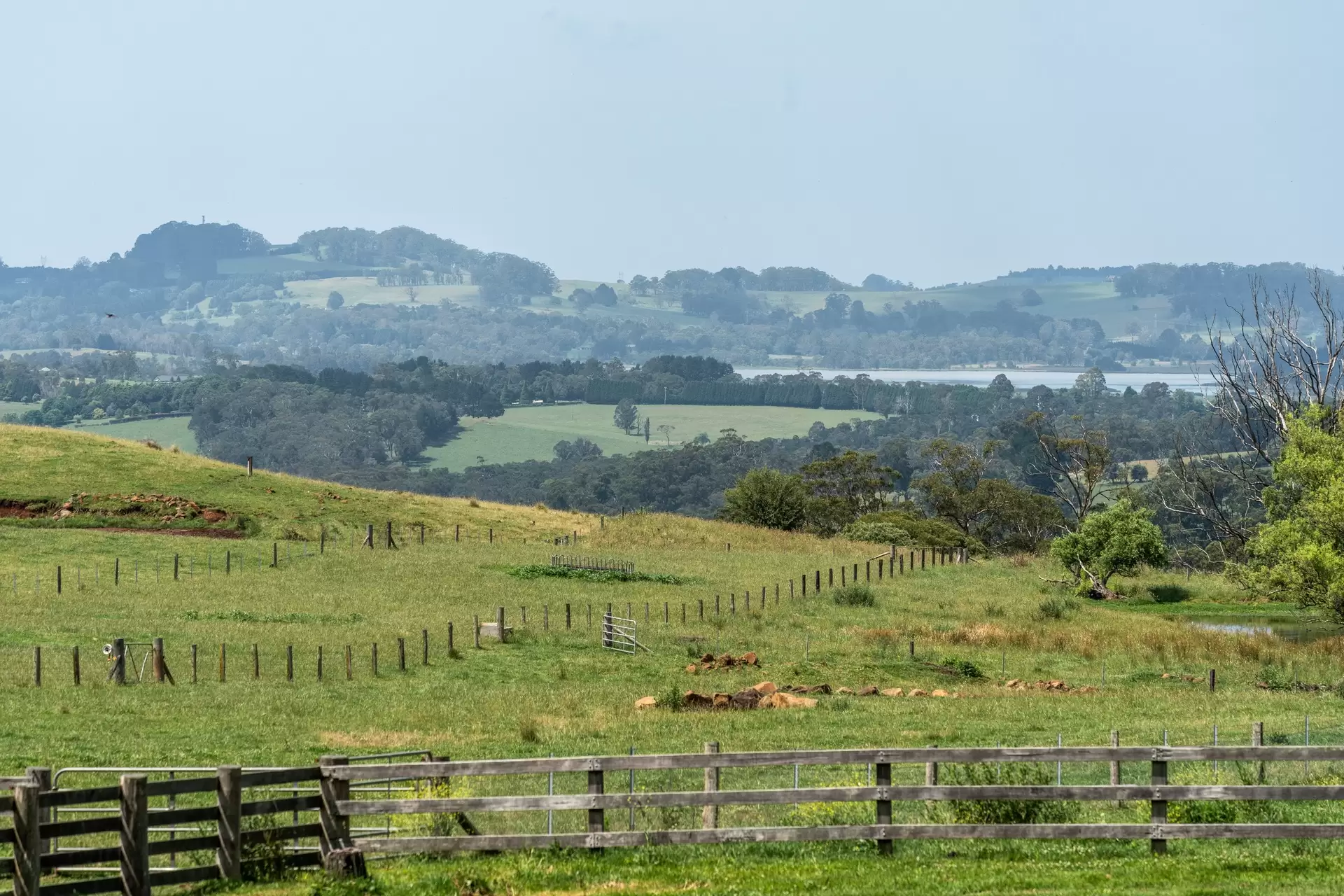 50 George Emery Lane, Glenquarry For Sale by Sydney Sotheby's International Realty - image 23