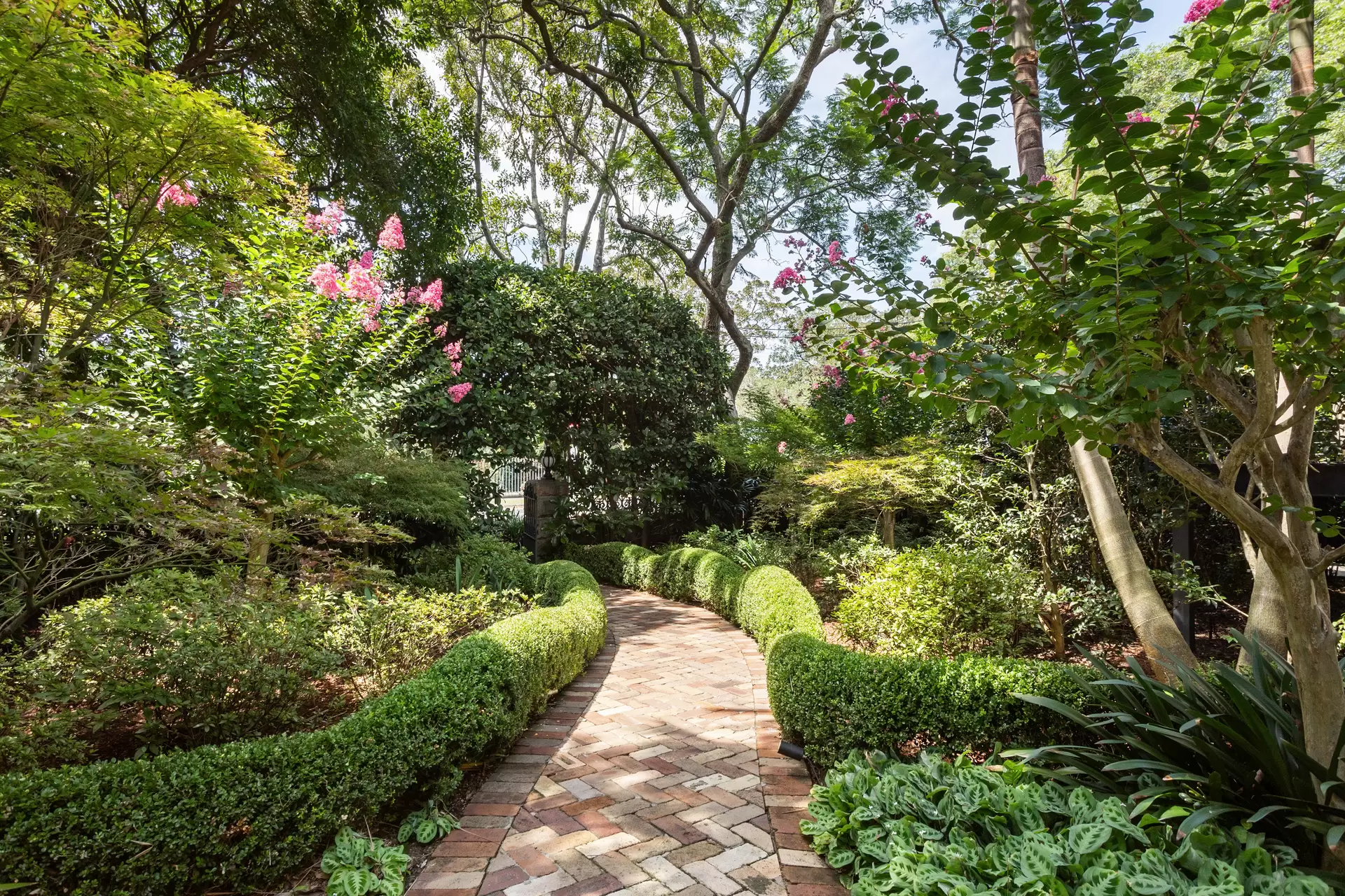 64 Lang Road, Centennial Park Sold by Sydney Sotheby's International Realty - image 29