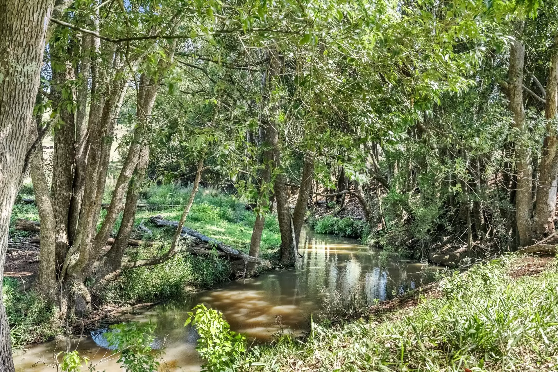 334 James Gibson Road, Clunes For Sale by Sydney Sotheby's International Realty - image 26
