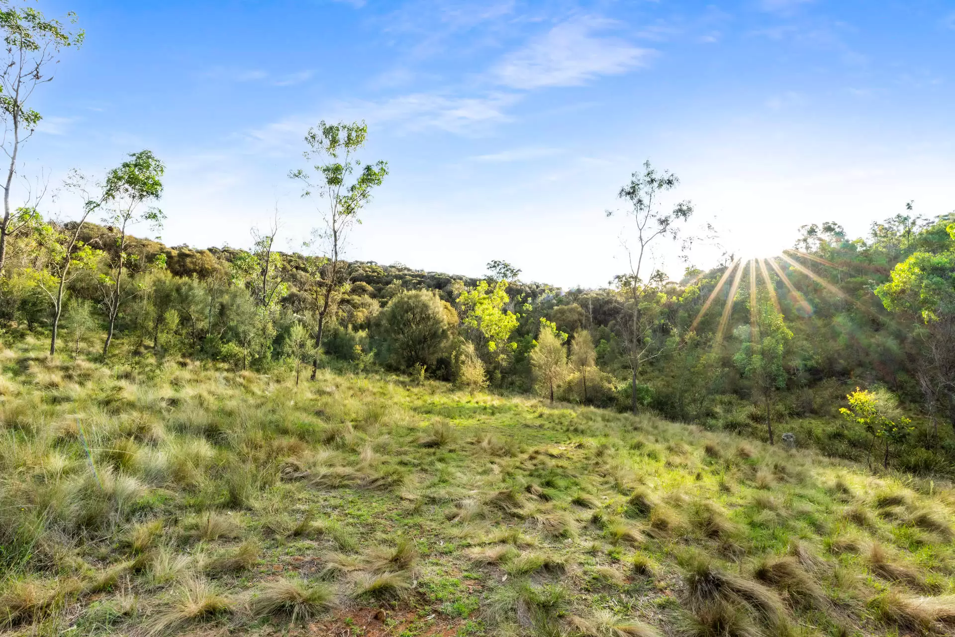 251 Obriens Road, Bullio For Sale by Sydney Sotheby's International Realty - image 10