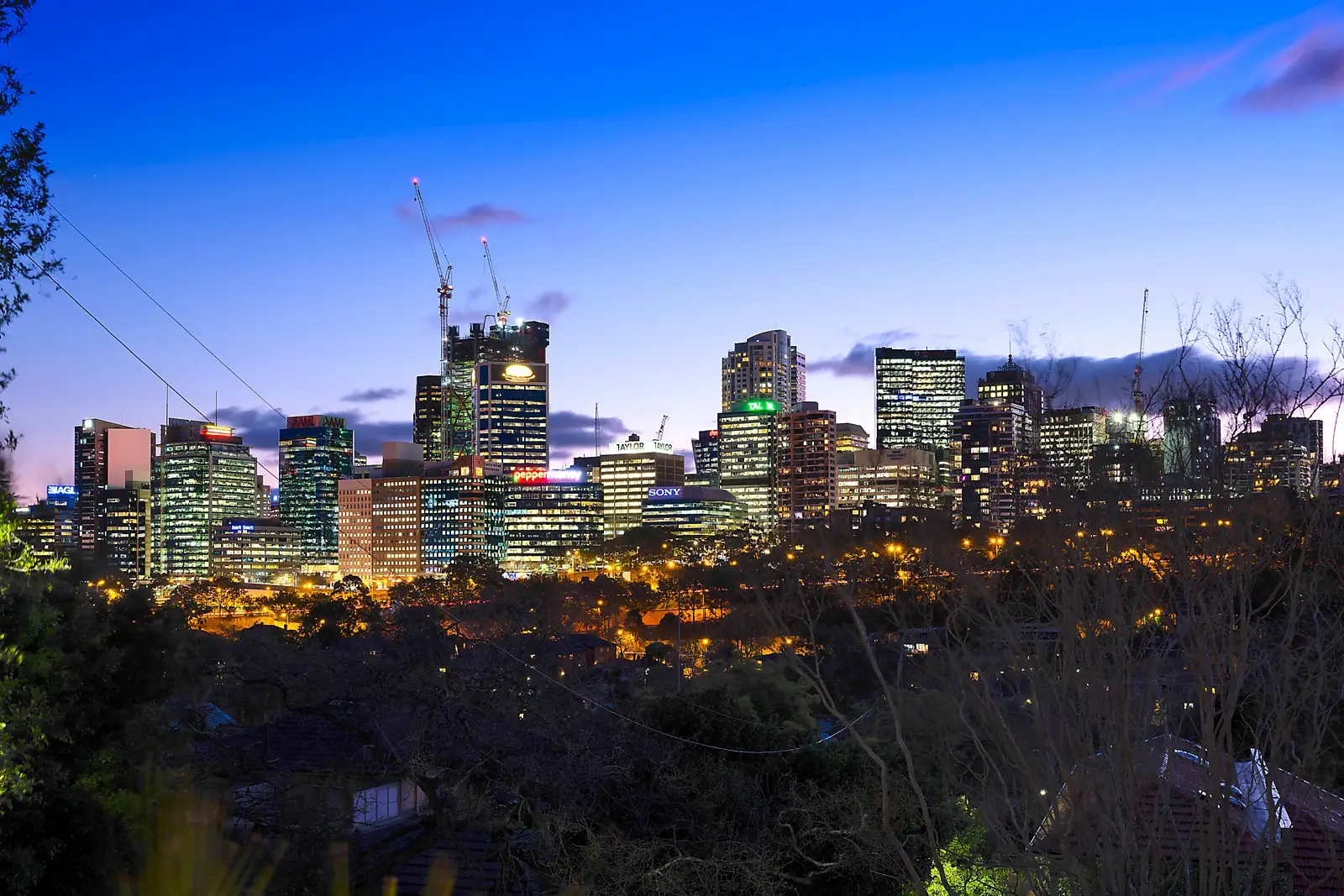 101/2 Premier Street, Neutral Bay Sold by Sydney Sotheby's International Realty - image 2