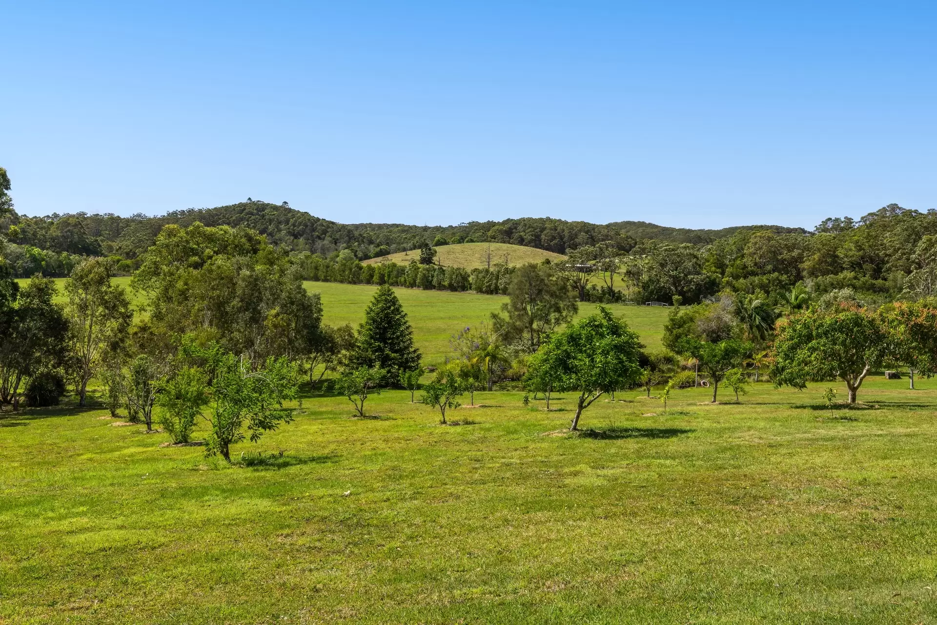 65 Armstrong Lane, Broken Head For Sale by Sydney Sotheby's International Realty - image 32