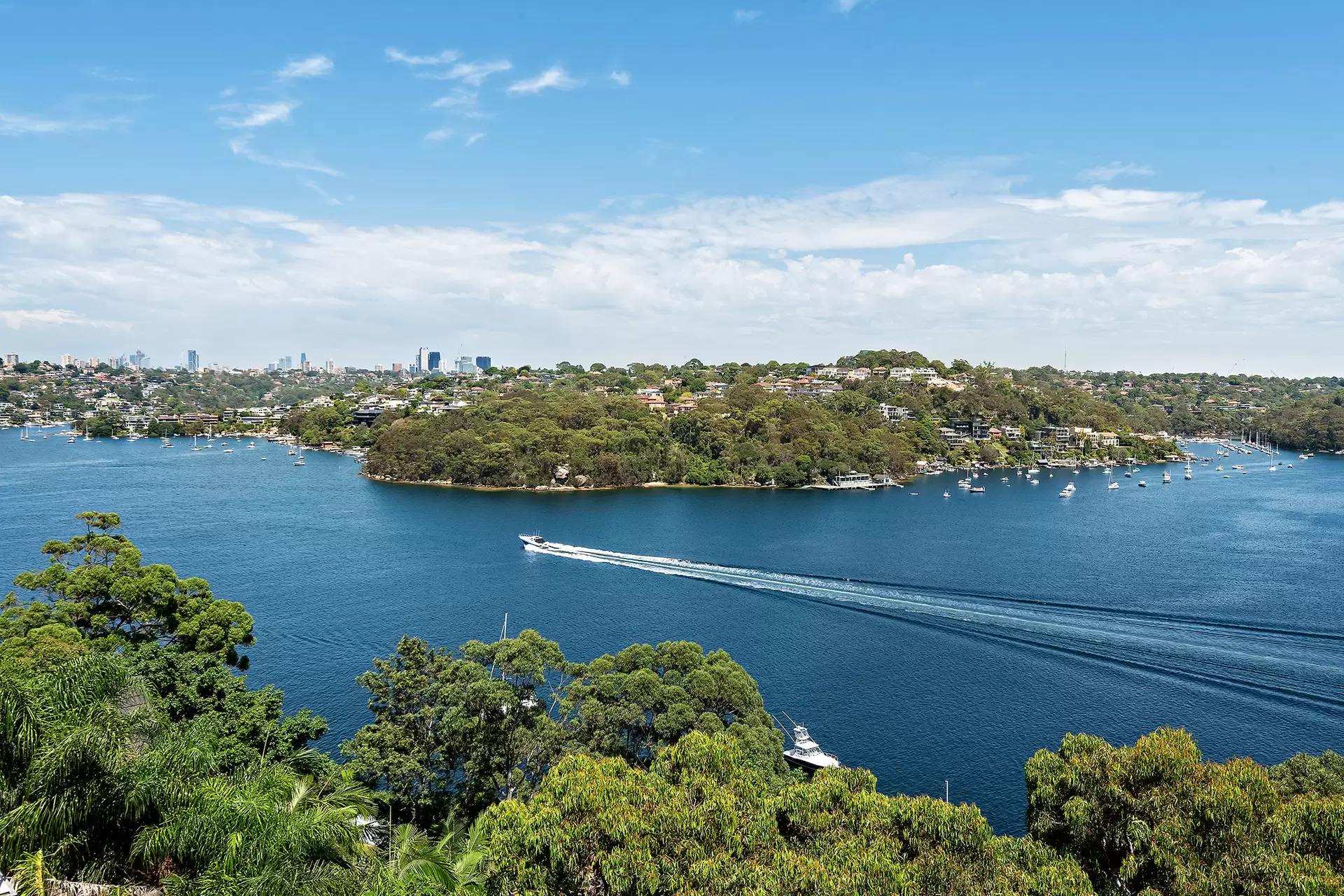 117 Seaforth Crescent, Seaforth For Sale by Sydney Sotheby's International Realty - image 12