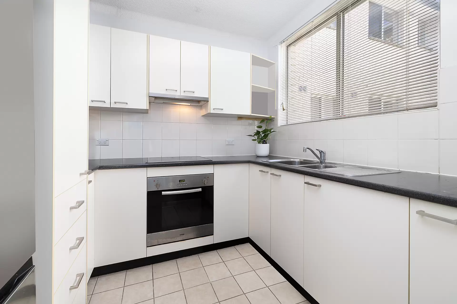 16/21-23 Koorala Street, Manly Vale Sold by Sydney Sotheby's International Realty - image 4