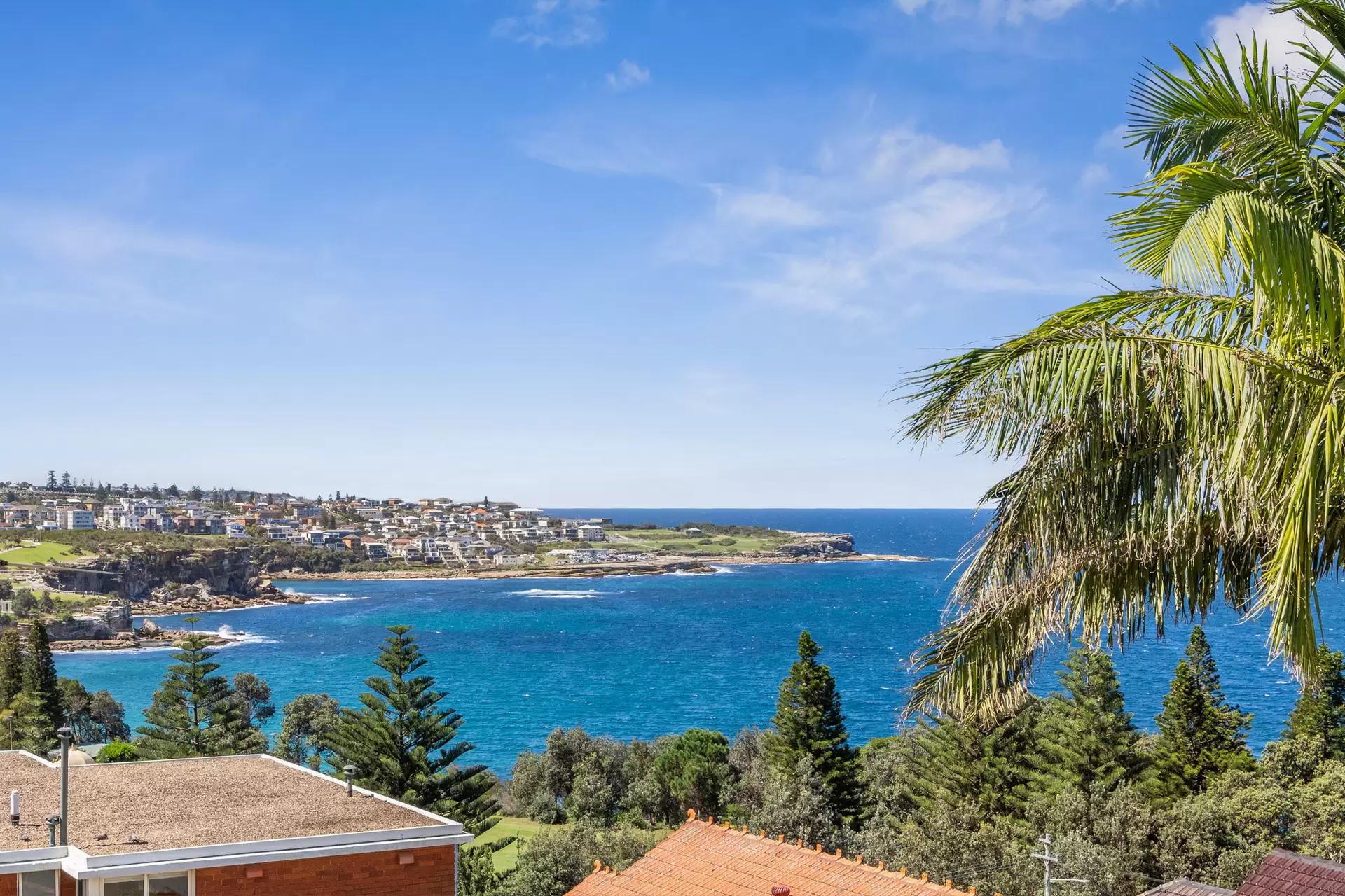 197-199 Beach Street, Coogee Auction by Sydney Sotheby's International Realty - image 4