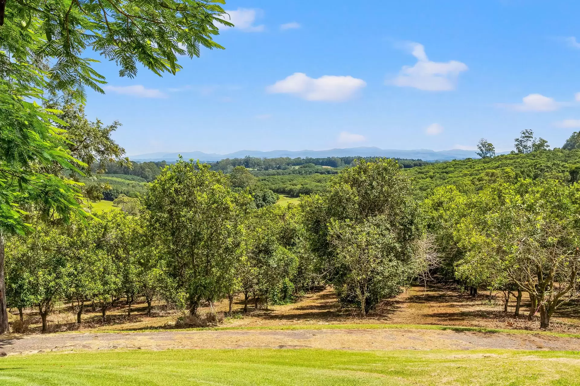 475 Pearces Creek Road, Alstonvale Sold by Sydney Sotheby's International Realty - image 31