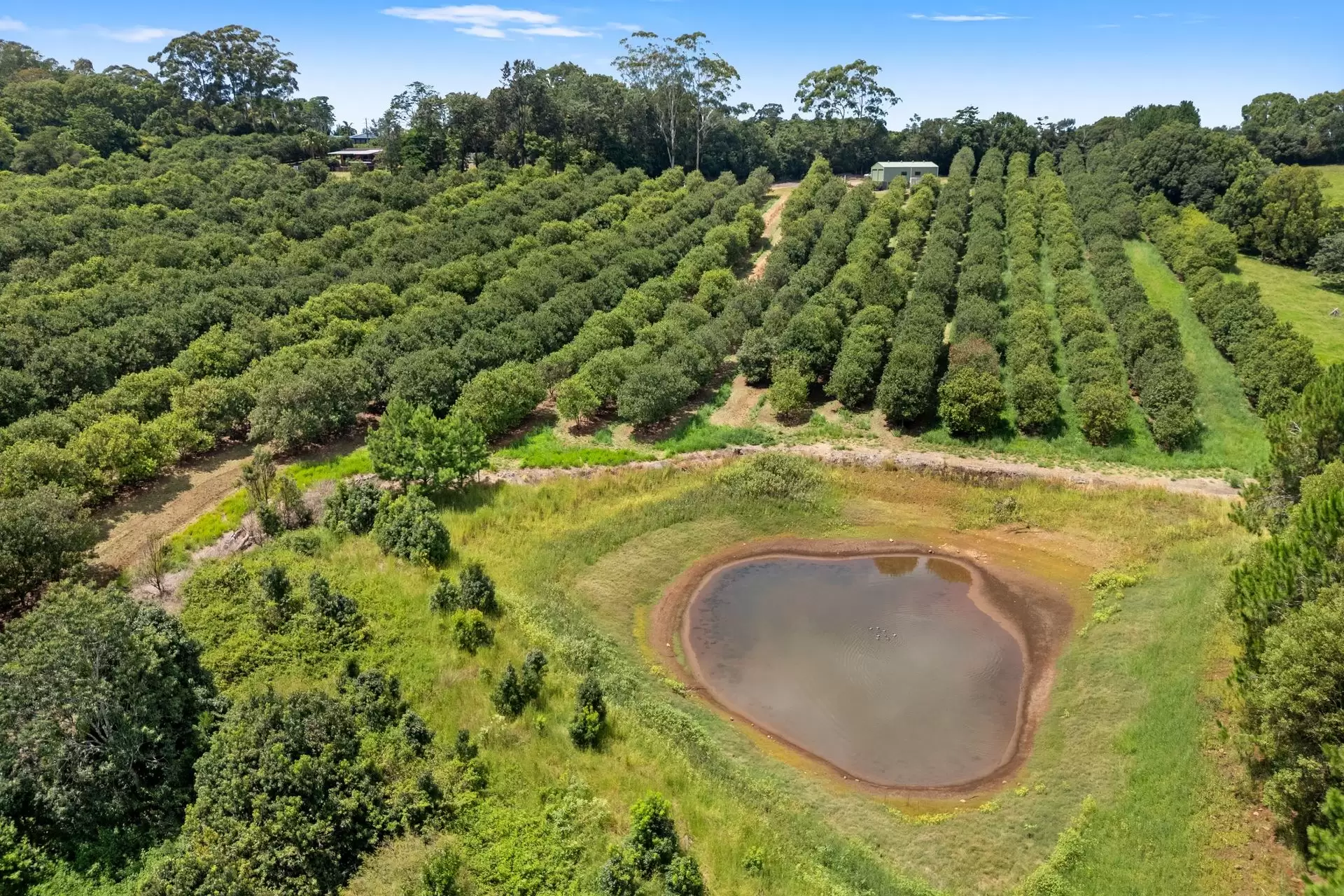 475 Pearces Creek Road, Alstonvale Sold by Sydney Sotheby's International Realty - image 30