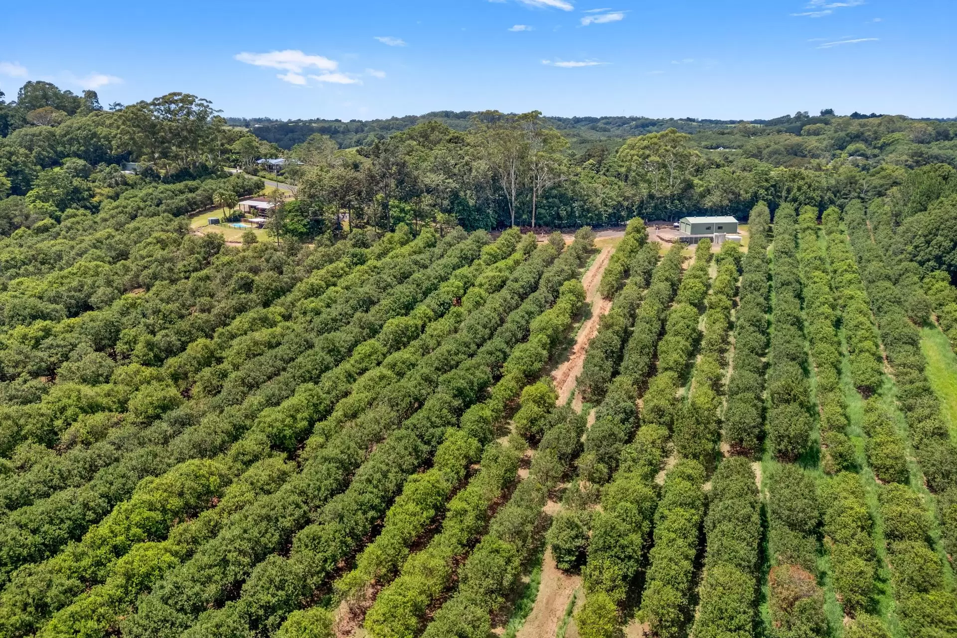 475 Pearces Creek Road, Alstonvale Sold by Sydney Sotheby's International Realty - image 29