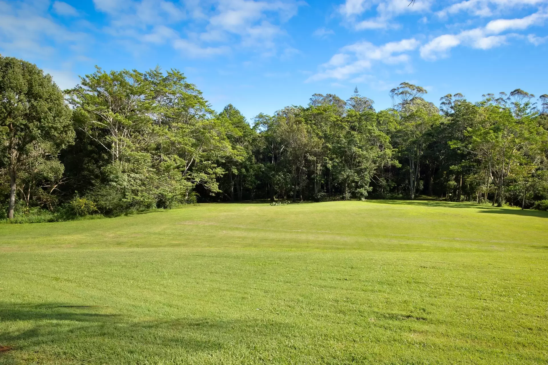 10 Byron Creek Road, Coopers Shoot Sold by Sydney Sotheby's International Realty - image 19