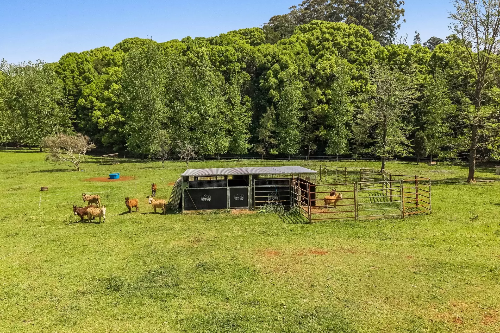 377 Pearces Creek Road, Alstonvale Sold by Sydney Sotheby's International Realty - image 24