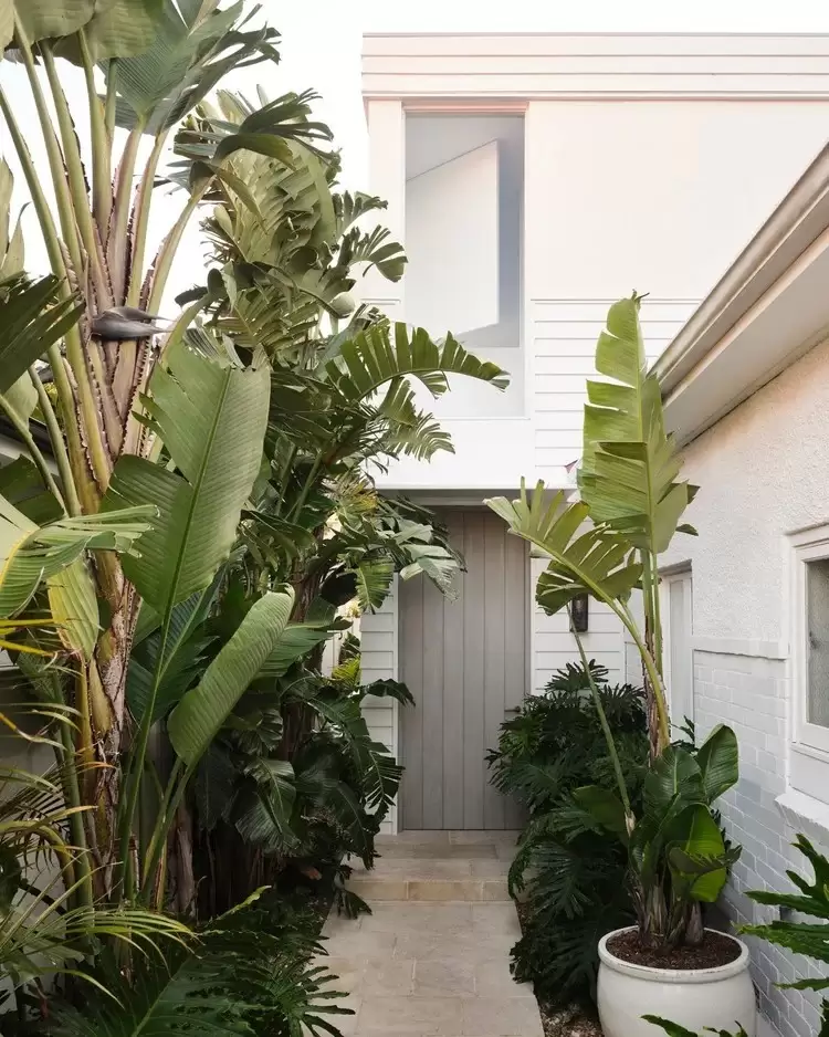 21 Bream Street, Coogee Sold by Sydney Sotheby's International Realty - image 16