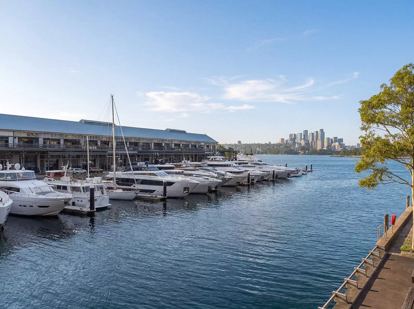 101/8 Darling Island Road, Pyrmont For Sale by Sydney Sotheby's International Realty - image 6