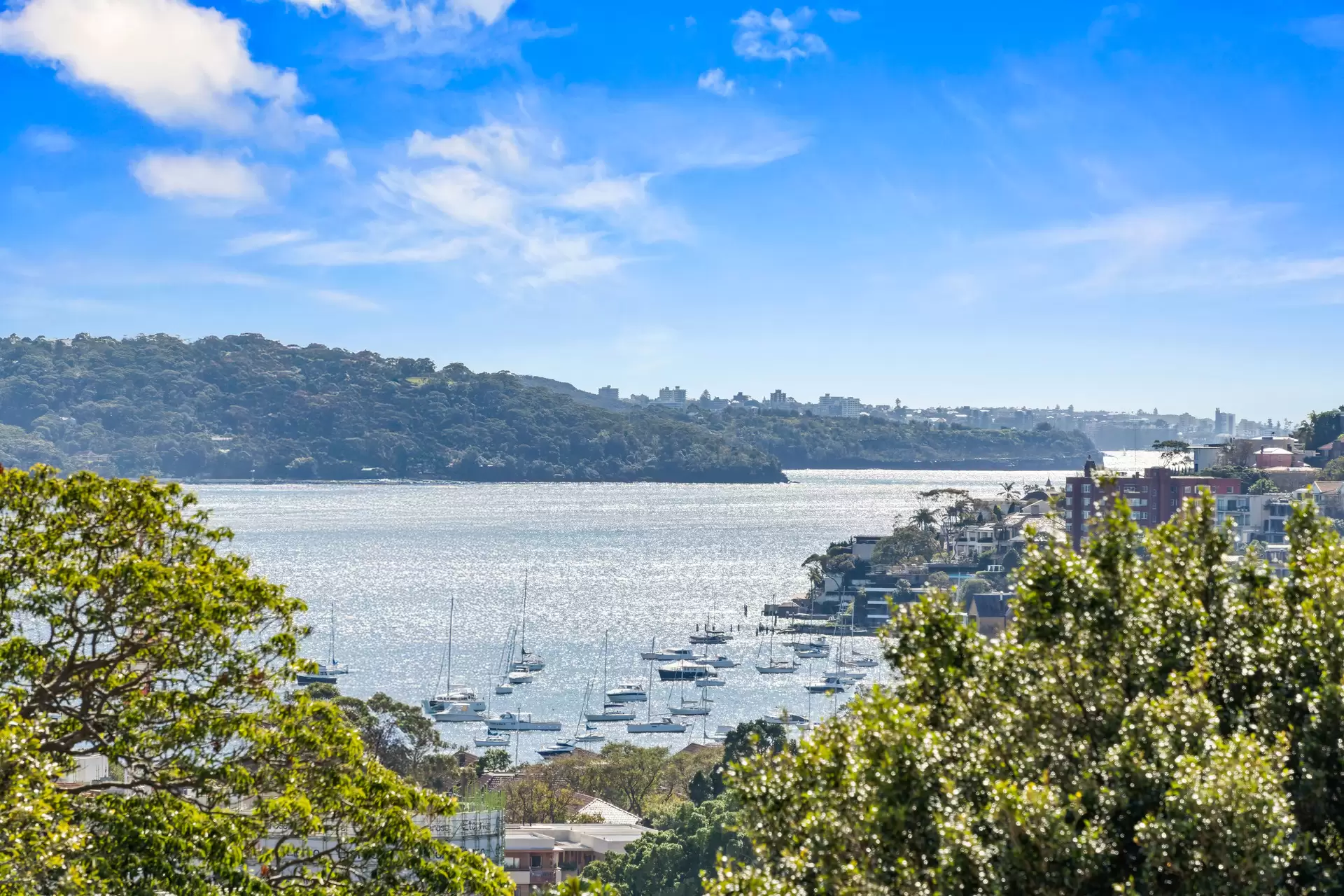 335B Edgecliff Road, Woollahra For Sale by Sydney Sotheby's International Realty - image 6