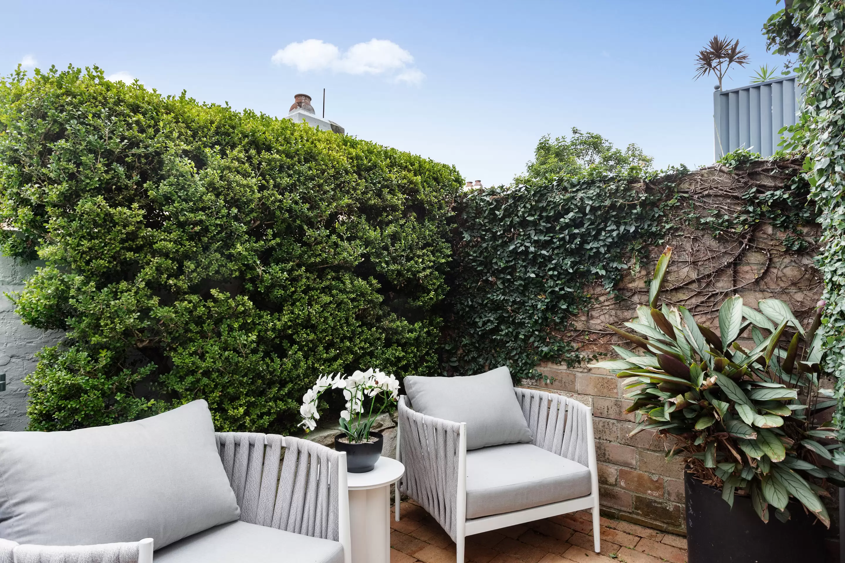 263 Forbes Street, Darlinghurst Sold by Sydney Sotheby's International Realty - image 5