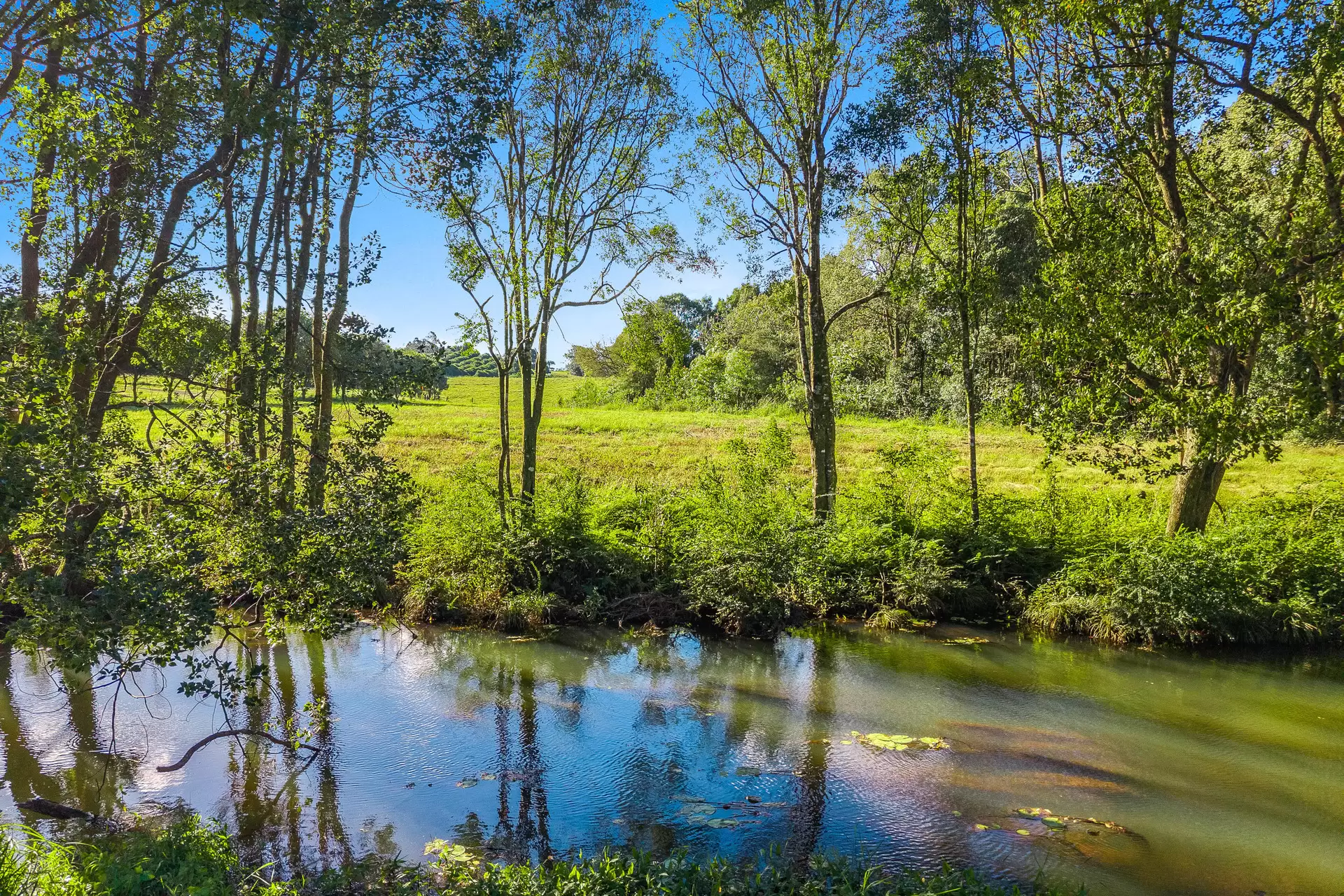 1141 Friday Hut Road, Binna Burra & 36b Brooklet Road, Newrybar For Sale by Sydney Sotheby's International Realty - image 19