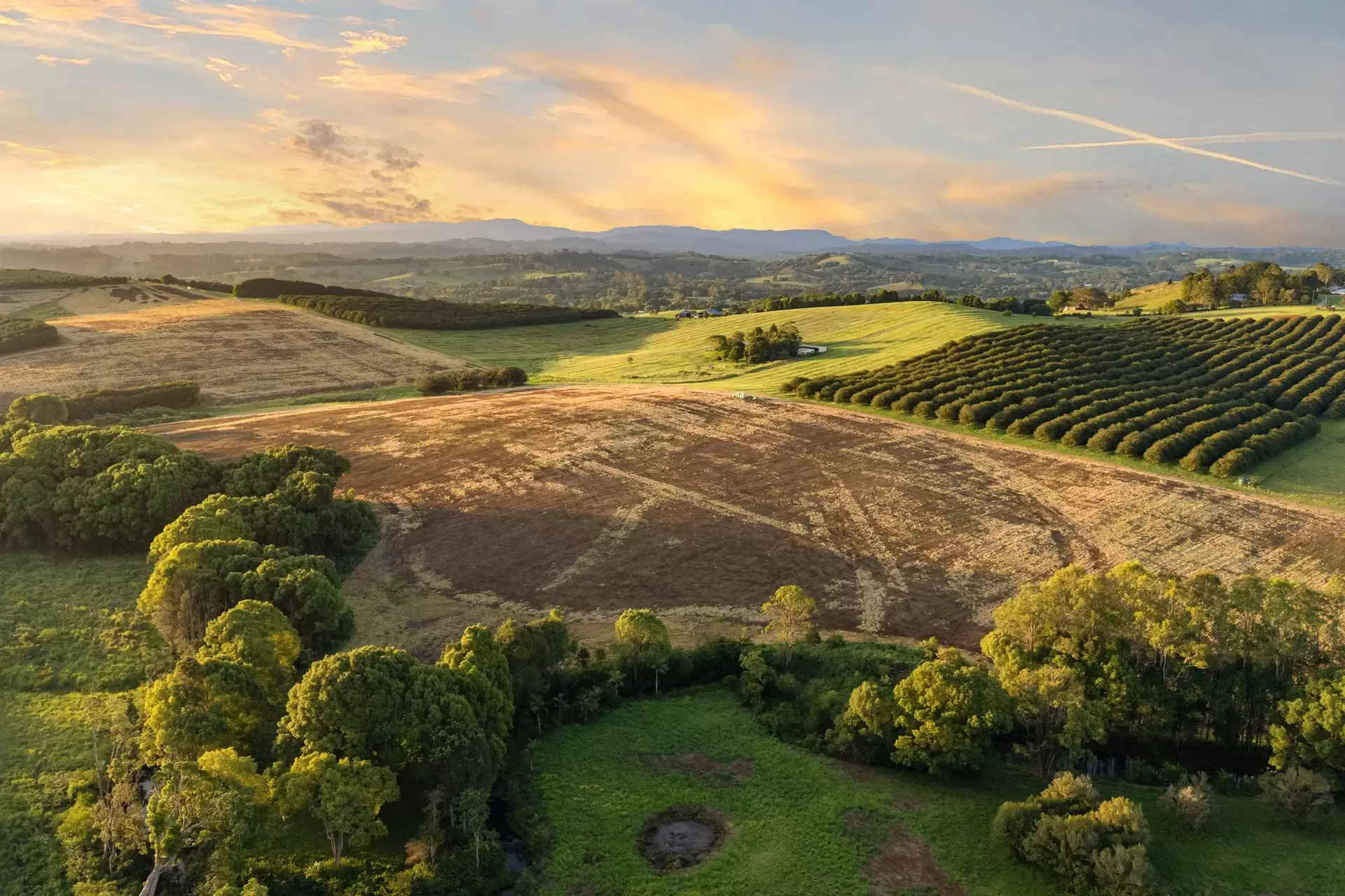1141 Friday Hut Road, Binna Burra & 36b Brooklet Road, Newrybar For Sale by Sydney Sotheby's International Realty - image 3