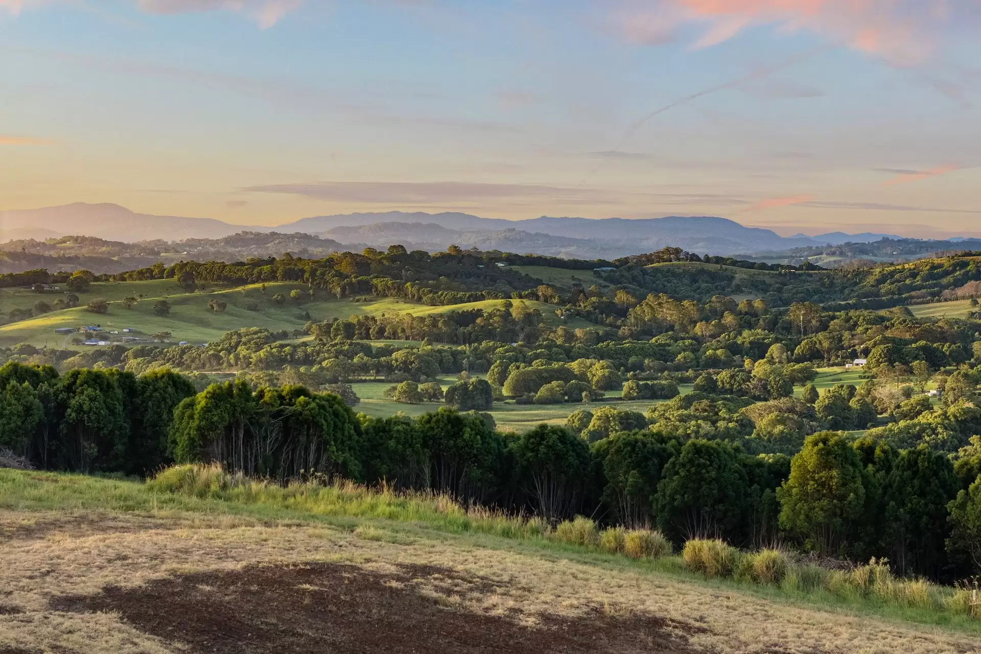 1141 Friday Hut Road, Binna Burra & 36b Brooklet Road, Newrybar For Sale by Sydney Sotheby's International Realty - image 5