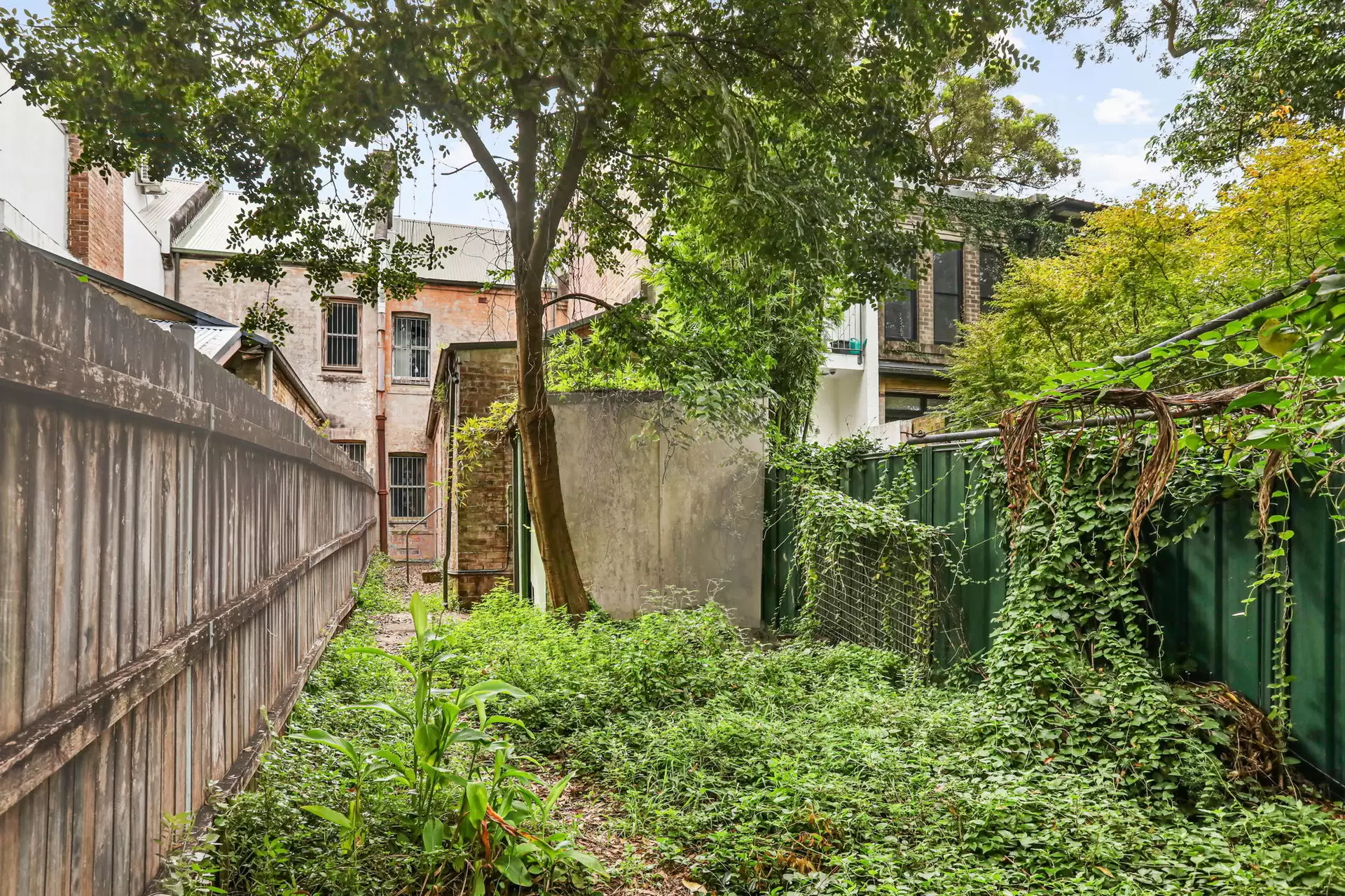 194 Barcom Avenue, Darlinghurst Sold by Sydney Sotheby's International Realty - image 7