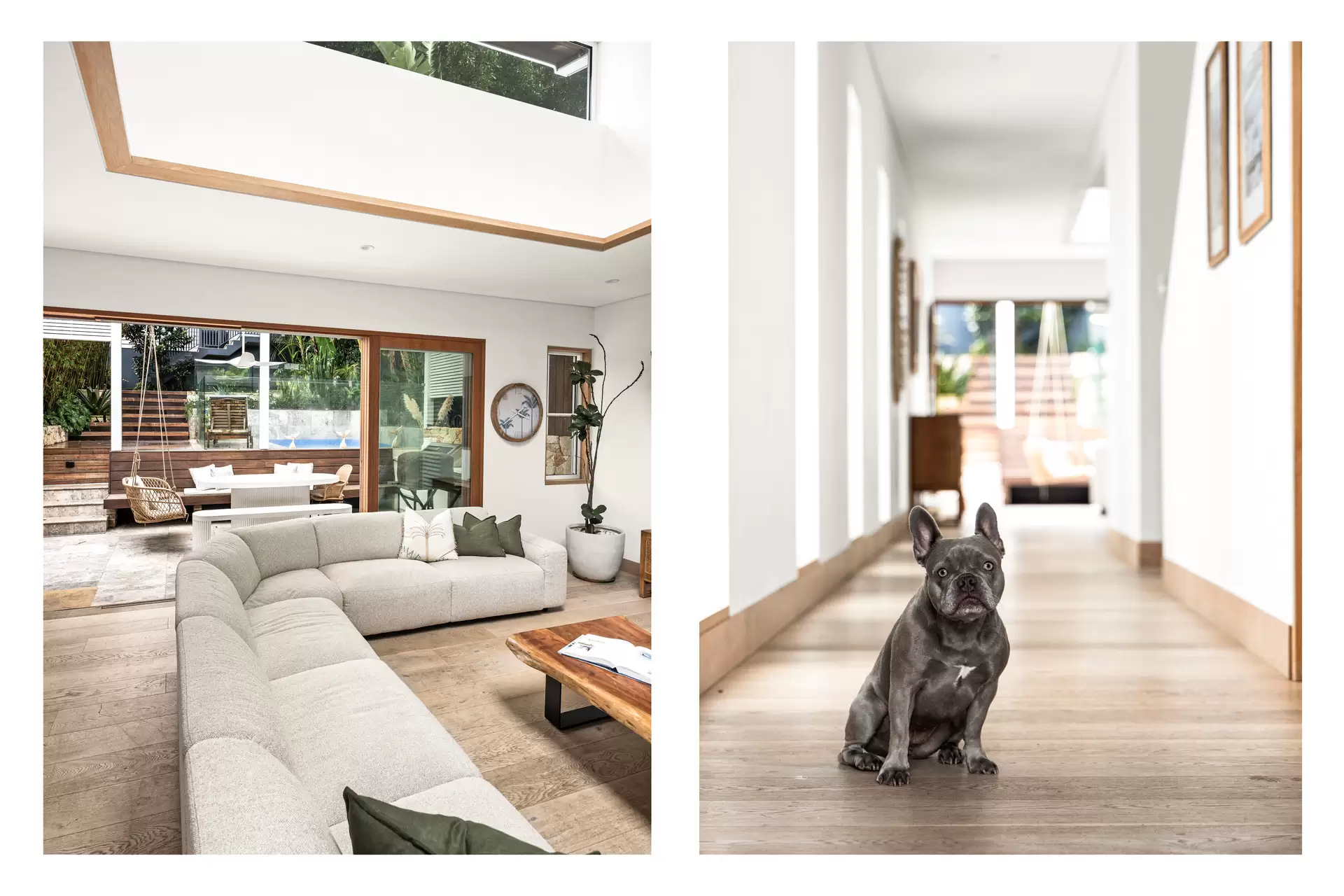 16 Arcadia Street, Coogee Sold by Sydney Sotheby's International Realty - image 6