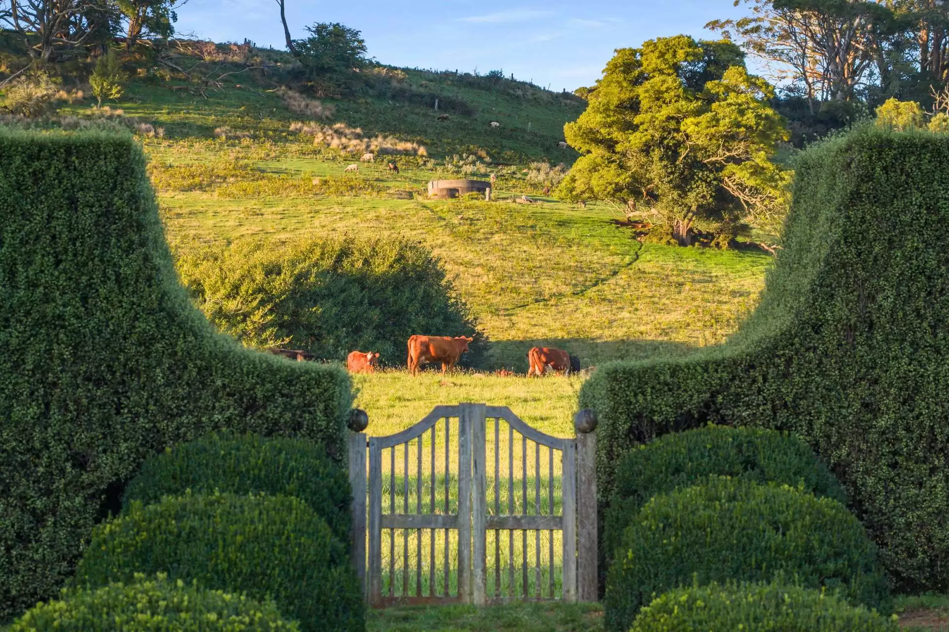 225 Wildes Meadow Road, Wildes Meadow Sold by Sydney Sotheby's International Realty - image 33