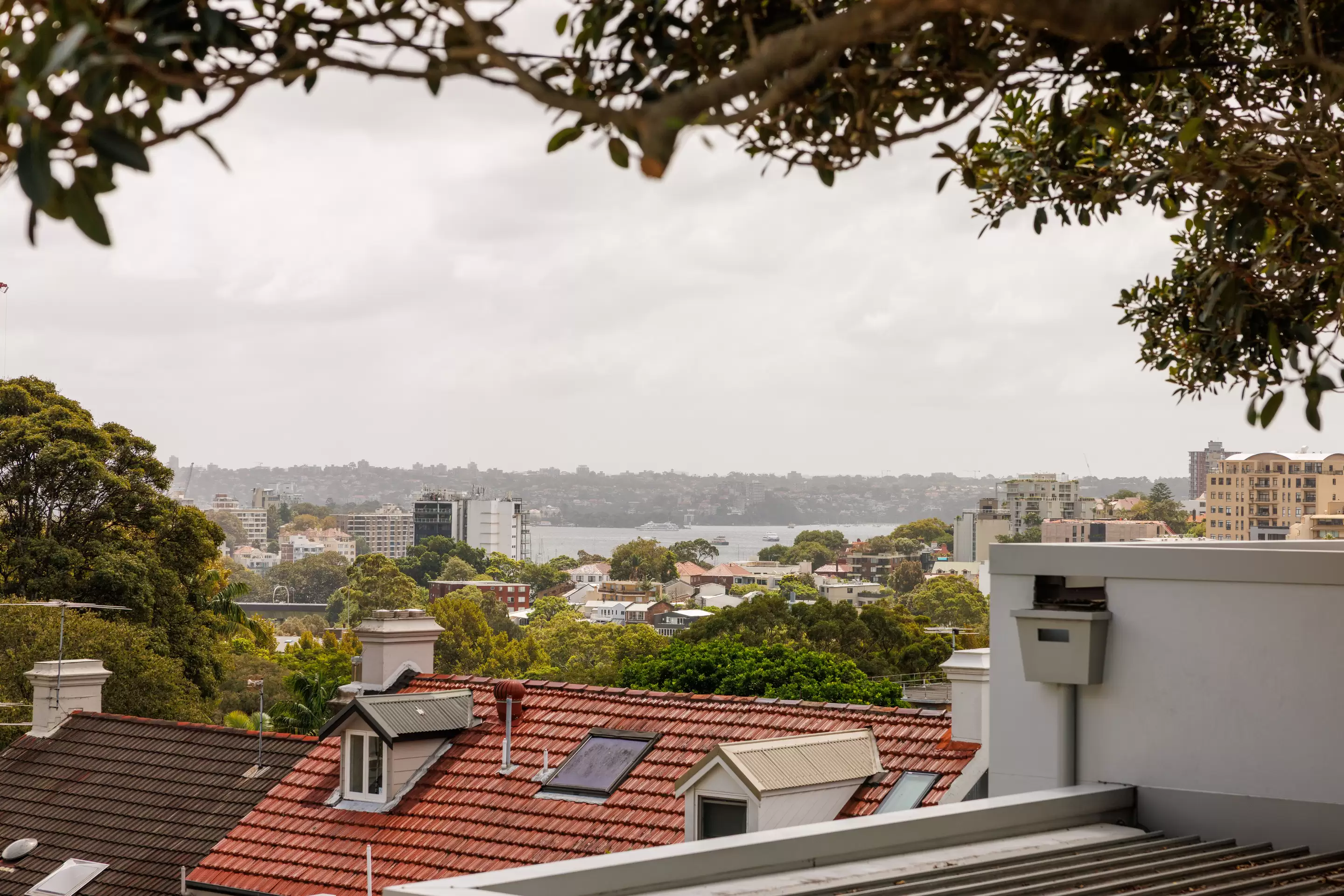 40 Windsor Street, Paddington Sold by Sydney Sotheby's International Realty - image 32