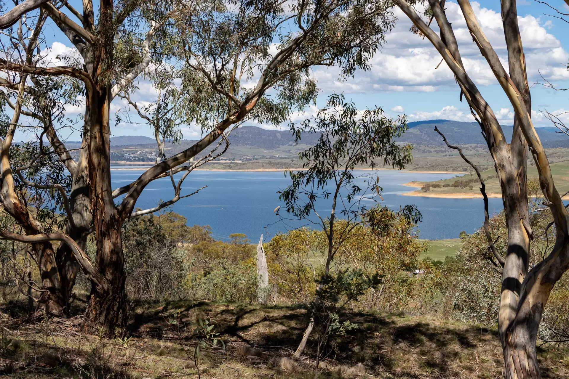 Lot 6, 374 Kalkite Road, Kalkite For Sale by Sydney Sotheby's International Realty - image 4