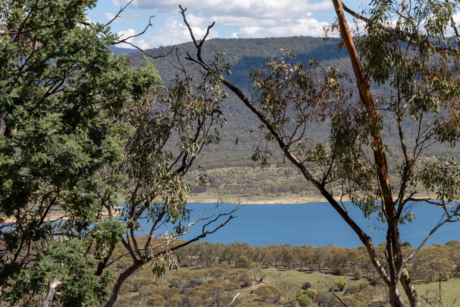 Lot 7, 374 Kalkite Road, Kalkite For Sale by Sydney Sotheby's International Realty - image 4