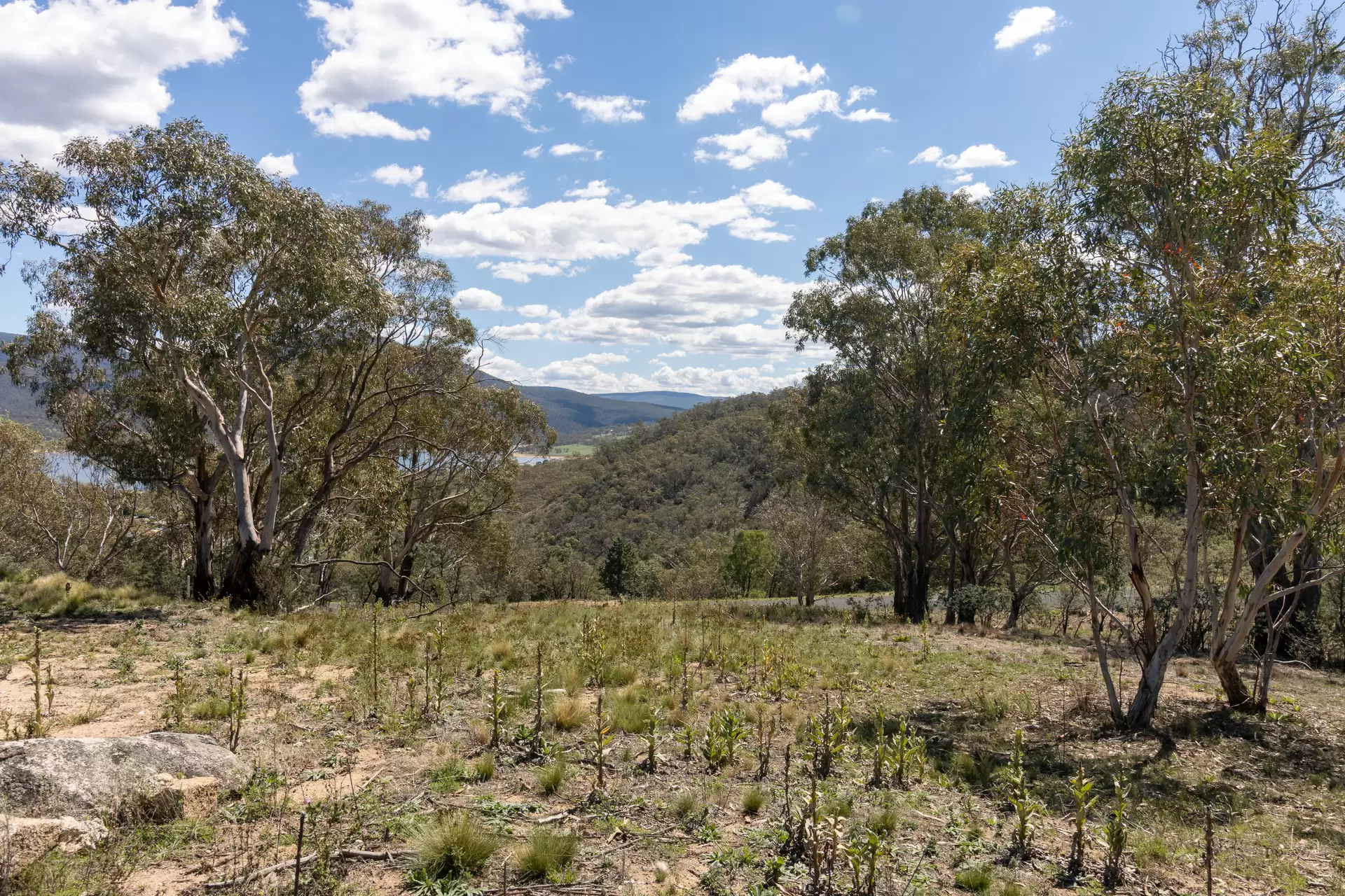 Lot 10, 374 Kalkite Road, Kalkite For Sale by Sydney Sotheby's International Realty - image 1