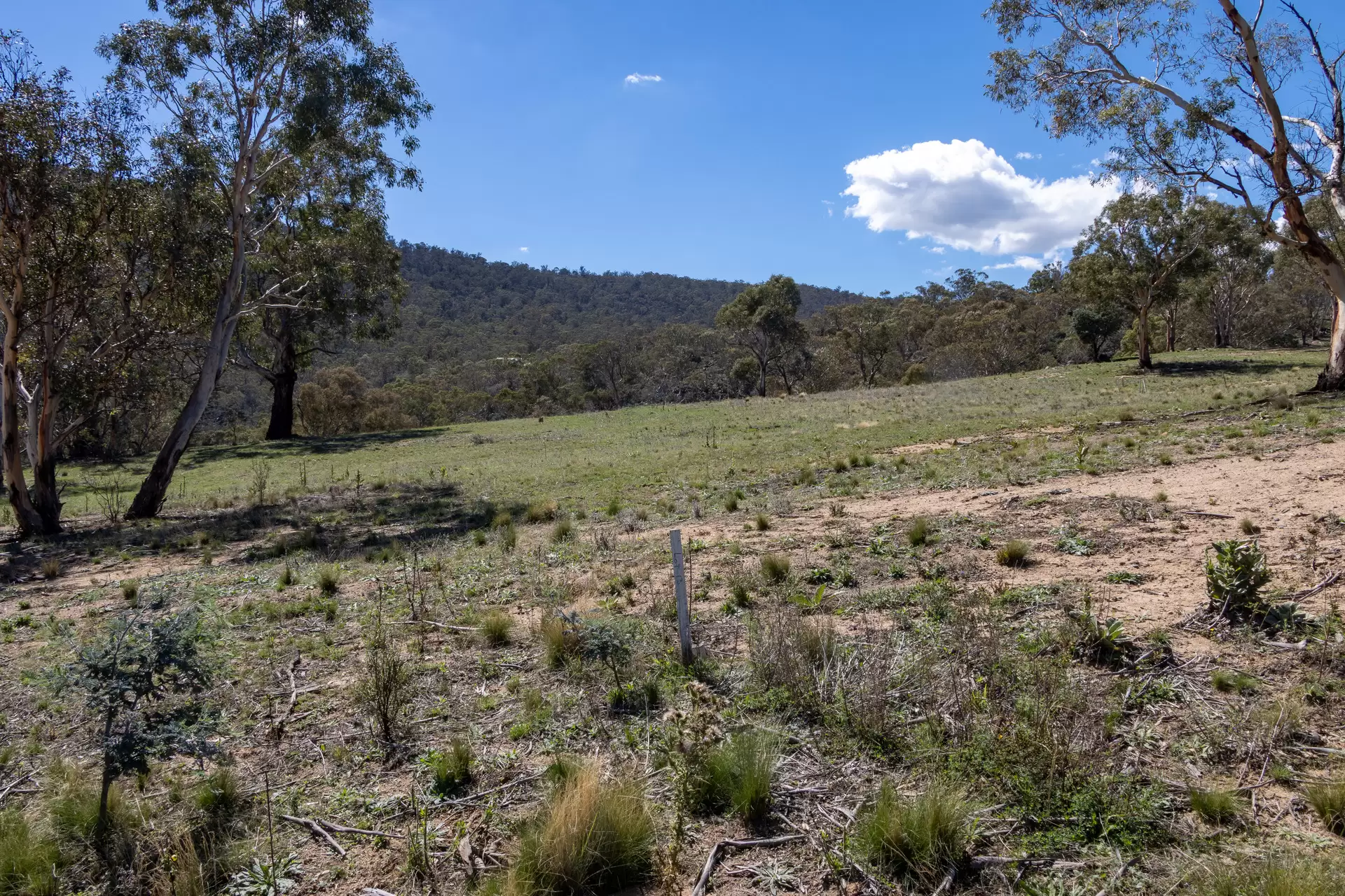 Lot 13, 374 Kalkite Road, Kalkite For Sale by Sydney Sotheby's International Realty - image 2