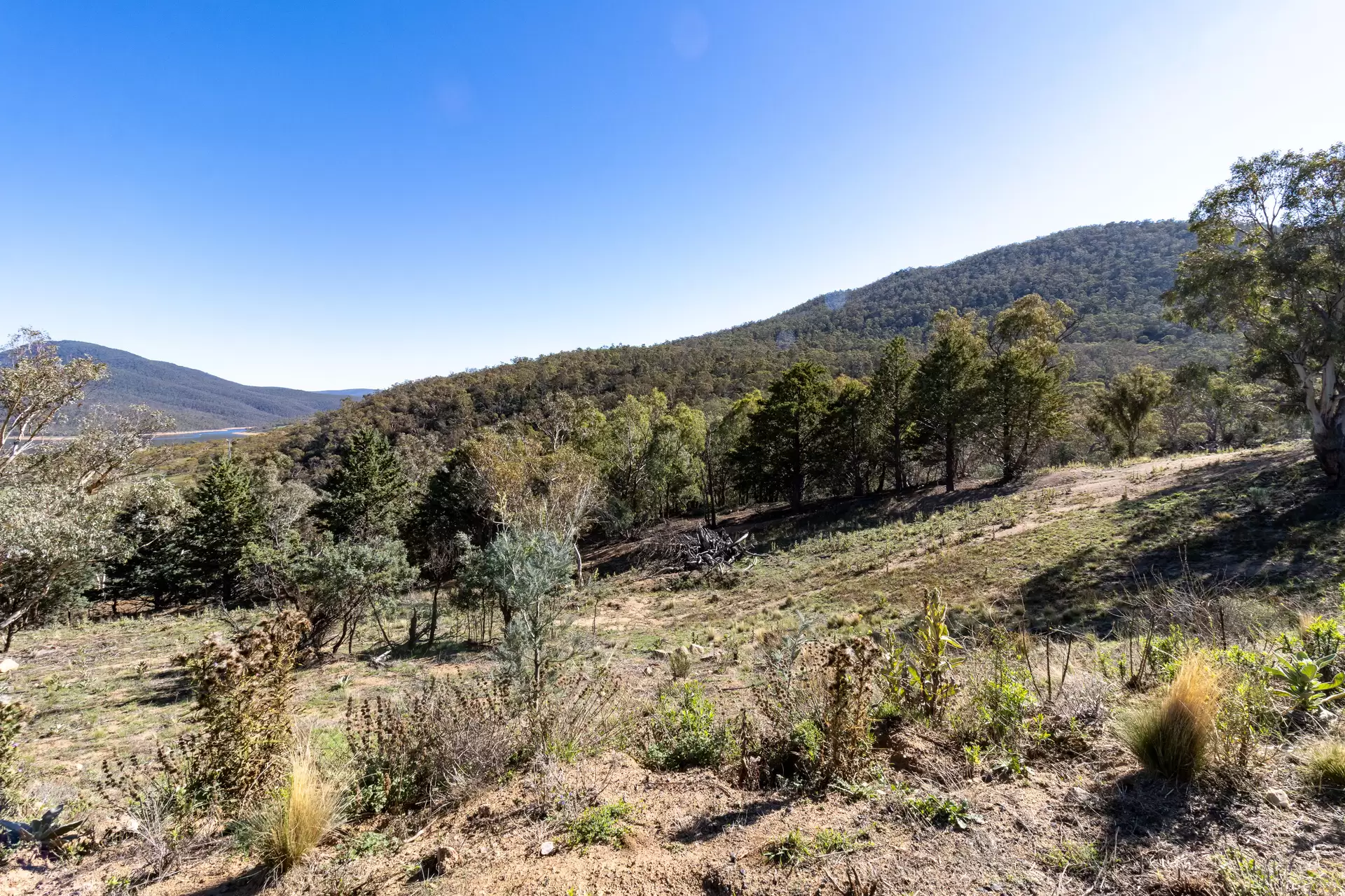 Lot 20, 374 Kalkite Road, Kalkite For Sale by Sydney Sotheby's International Realty - image 3