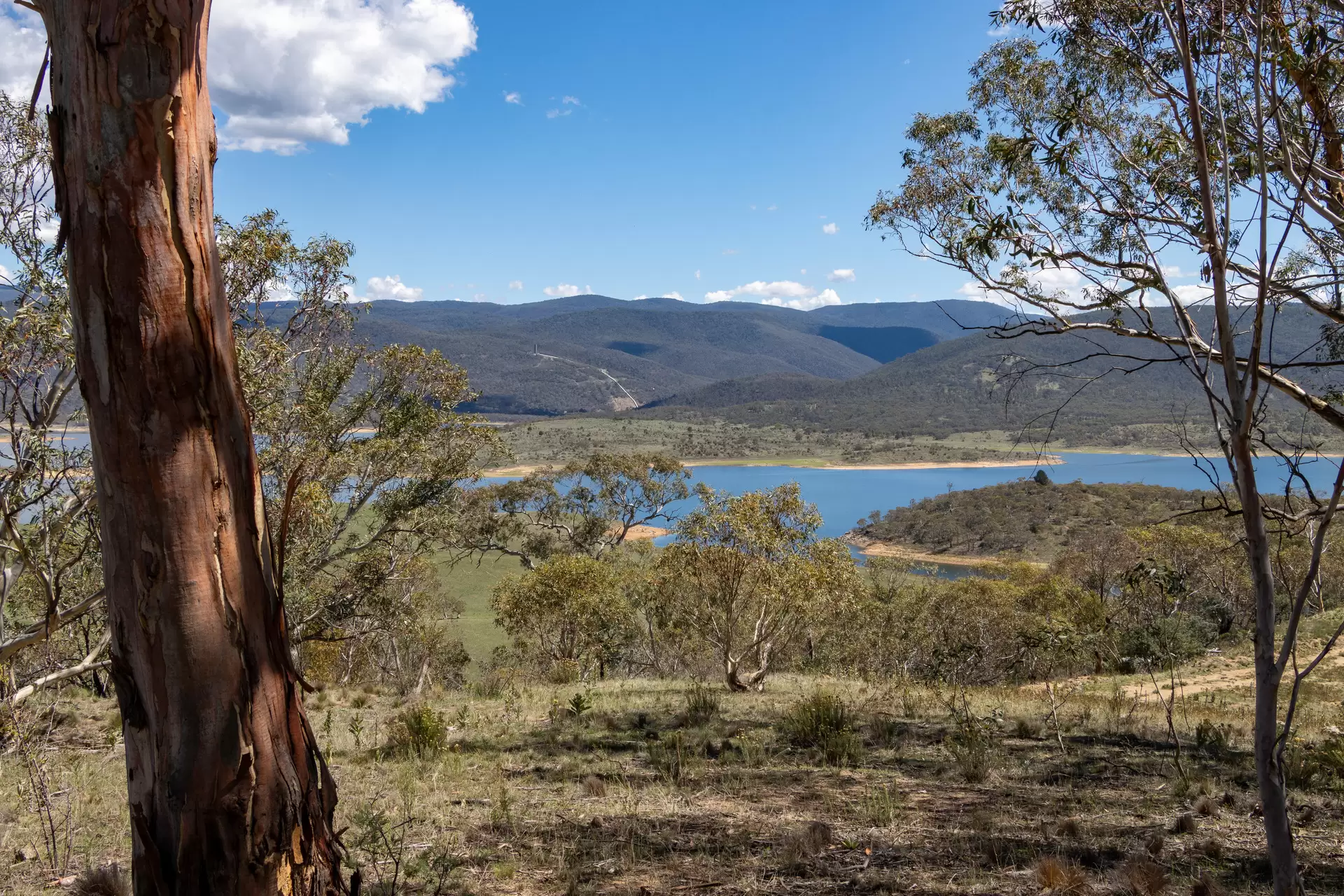 Lot 27, 374 Kalkite Road, Kalkite For Sale by Sydney Sotheby's International Realty - image 5