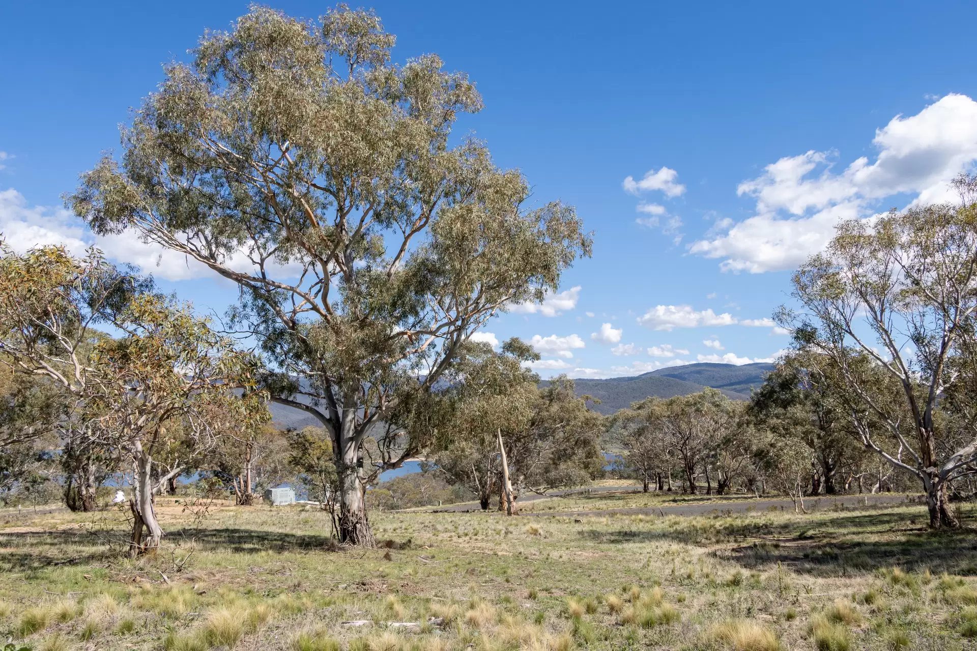Lot 29, 374 Kalkite Road, Kalkite For Sale by Sydney Sotheby's International Realty - image 2