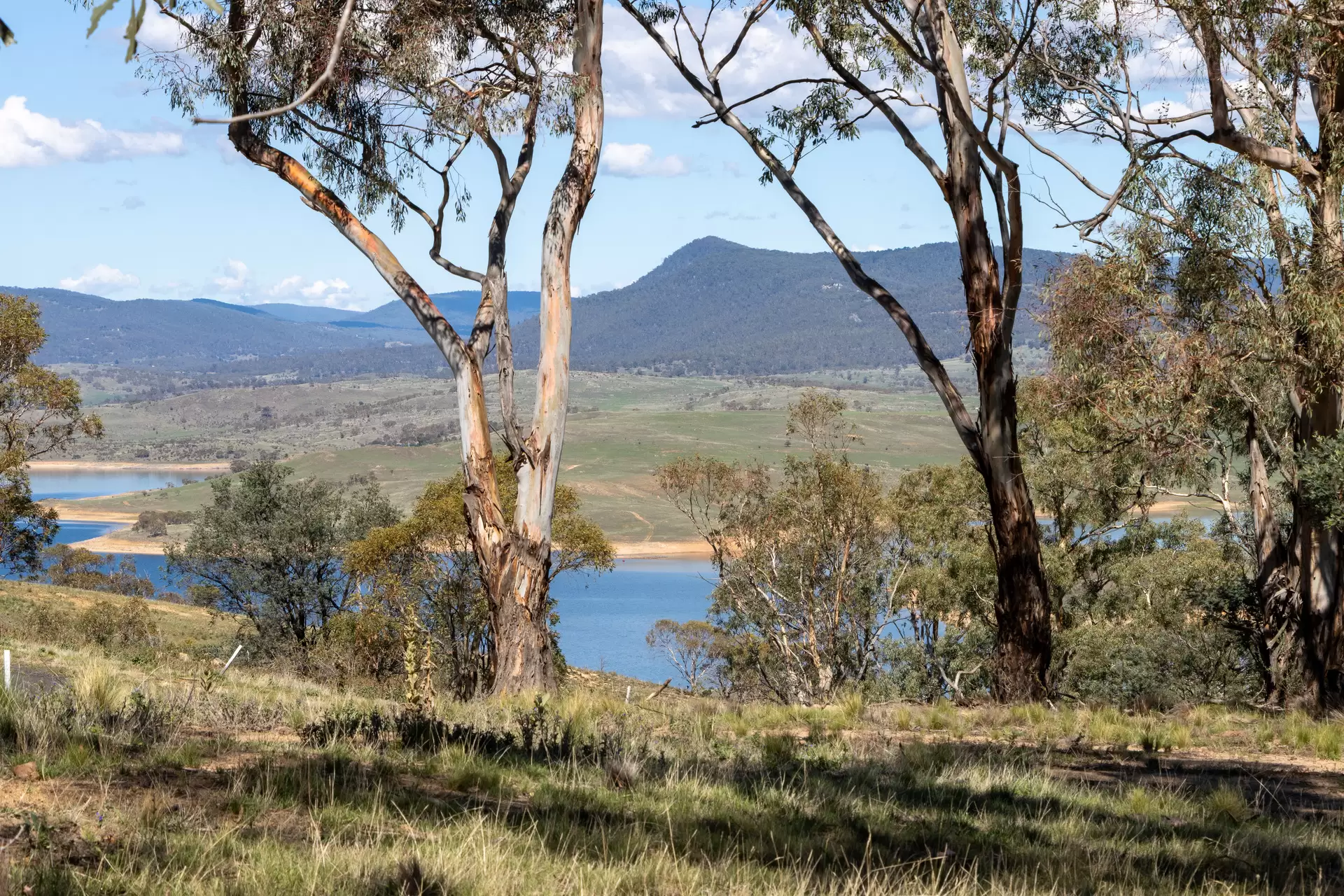 Lot 29, 374 Kalkite Road, Kalkite For Sale by Sydney Sotheby's International Realty - image 1