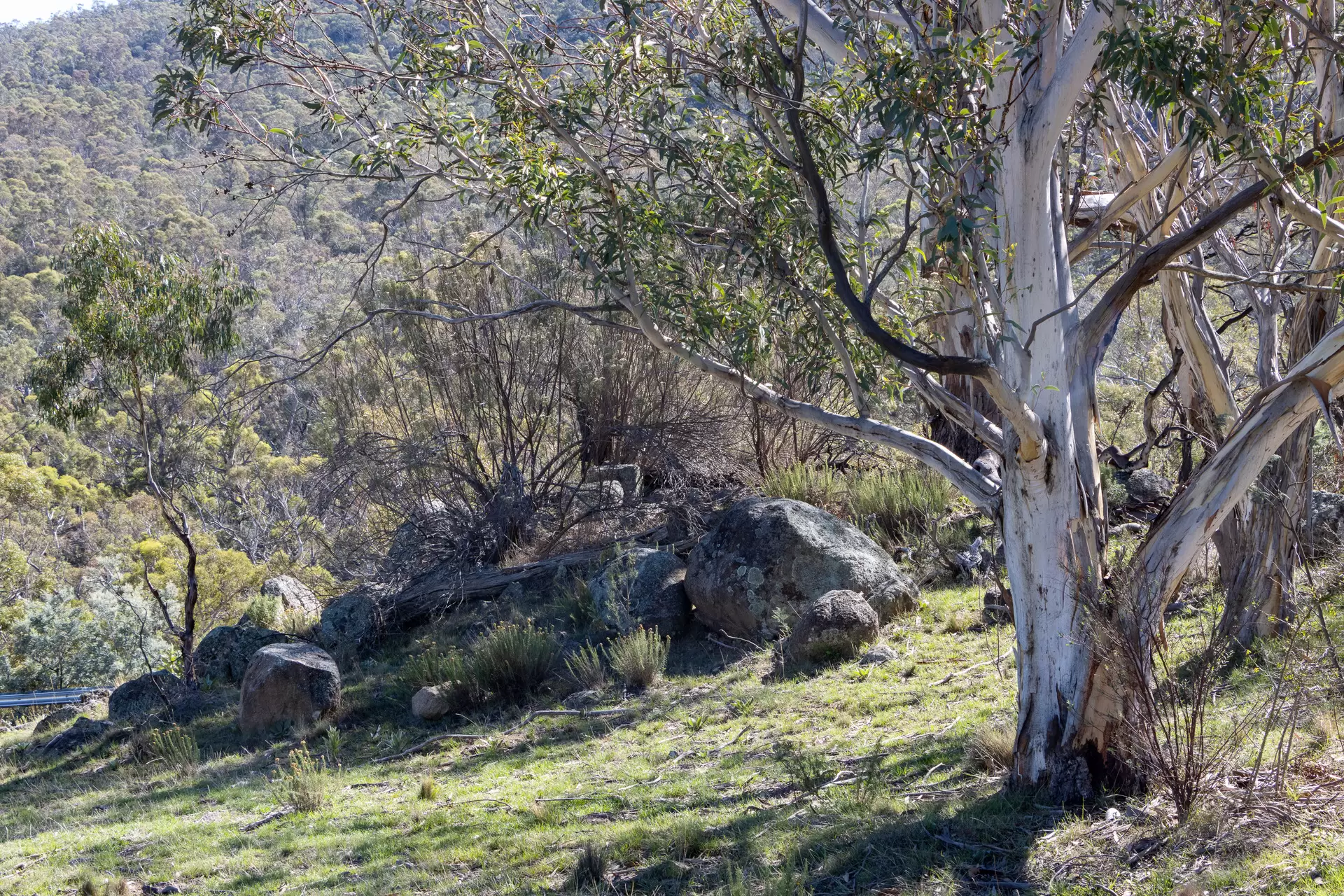 Lot 37, 374 Kalkite Road, Kalkite For Sale by Sydney Sotheby's International Realty - image 2