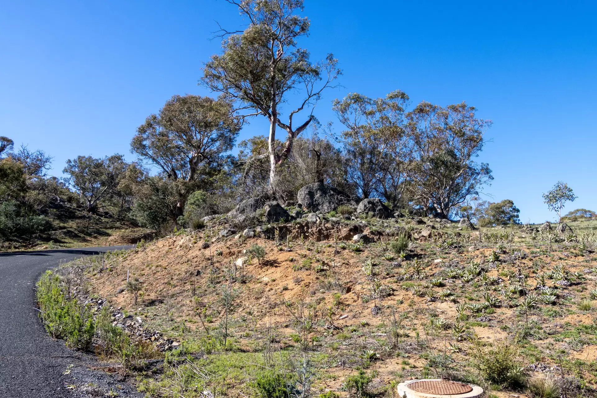 Lot 37, 374 Kalkite Road, Kalkite For Sale by Sydney Sotheby's International Realty - image 4