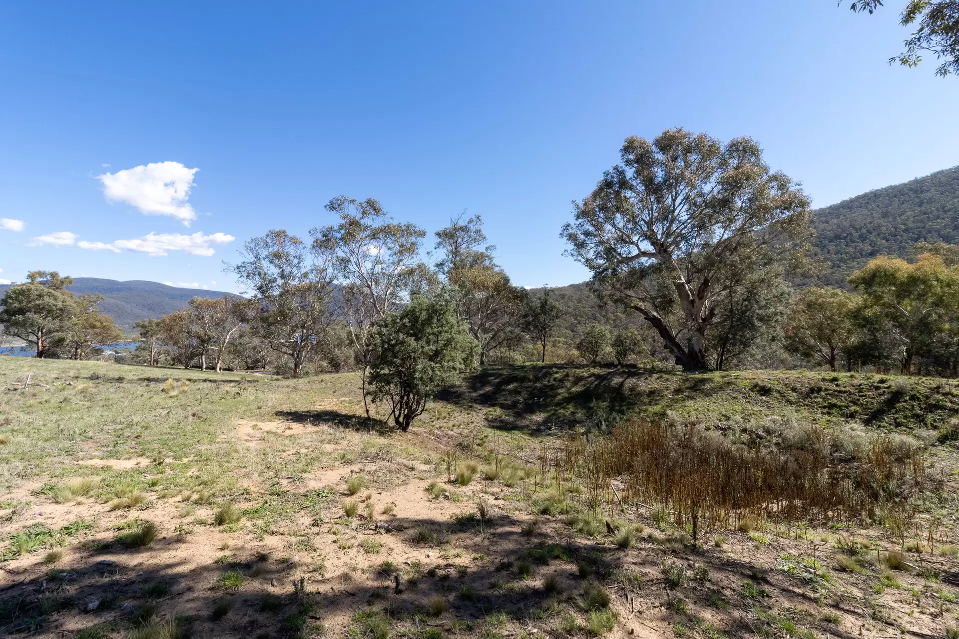 Lot 38, 374 Kalkite Road, Kalkite For Sale by Sydney Sotheby's International Realty - image 2