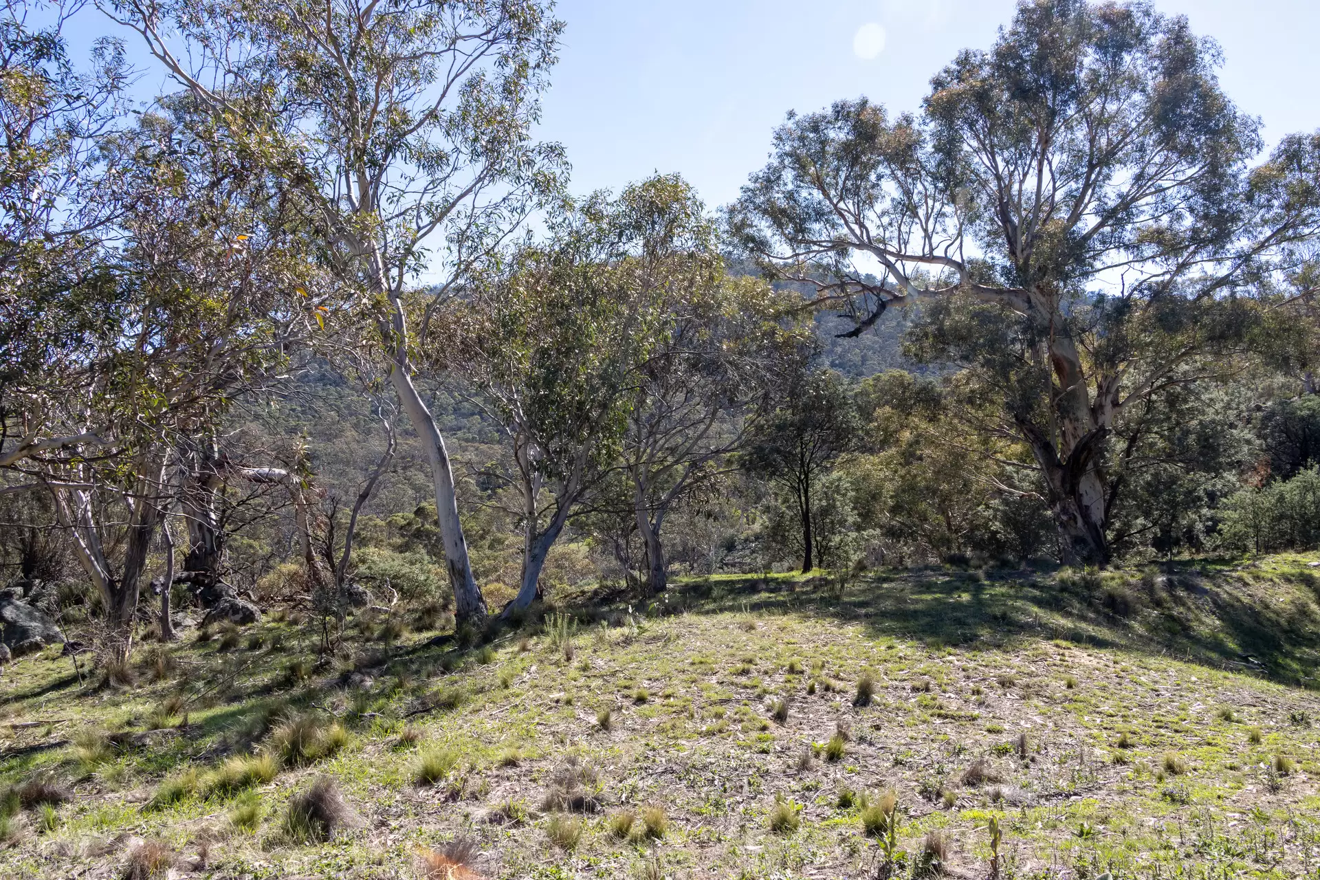 Lot 38, 374 Kalkite Road, Kalkite For Sale by Sydney Sotheby's International Realty - image 3
