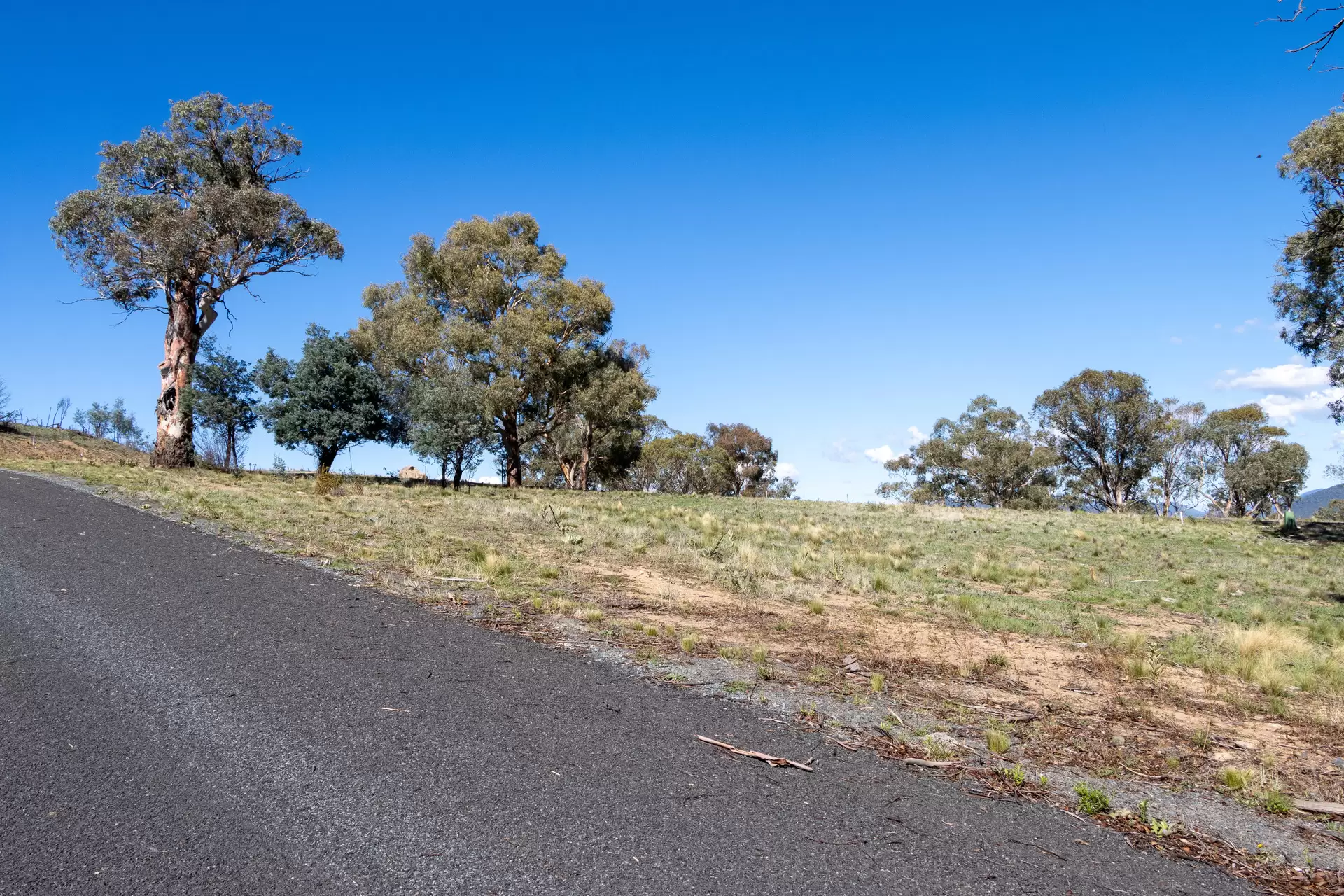 Lot 39, 374 Kalkite Road, Kalkite For Sale by Sydney Sotheby's International Realty - image 6