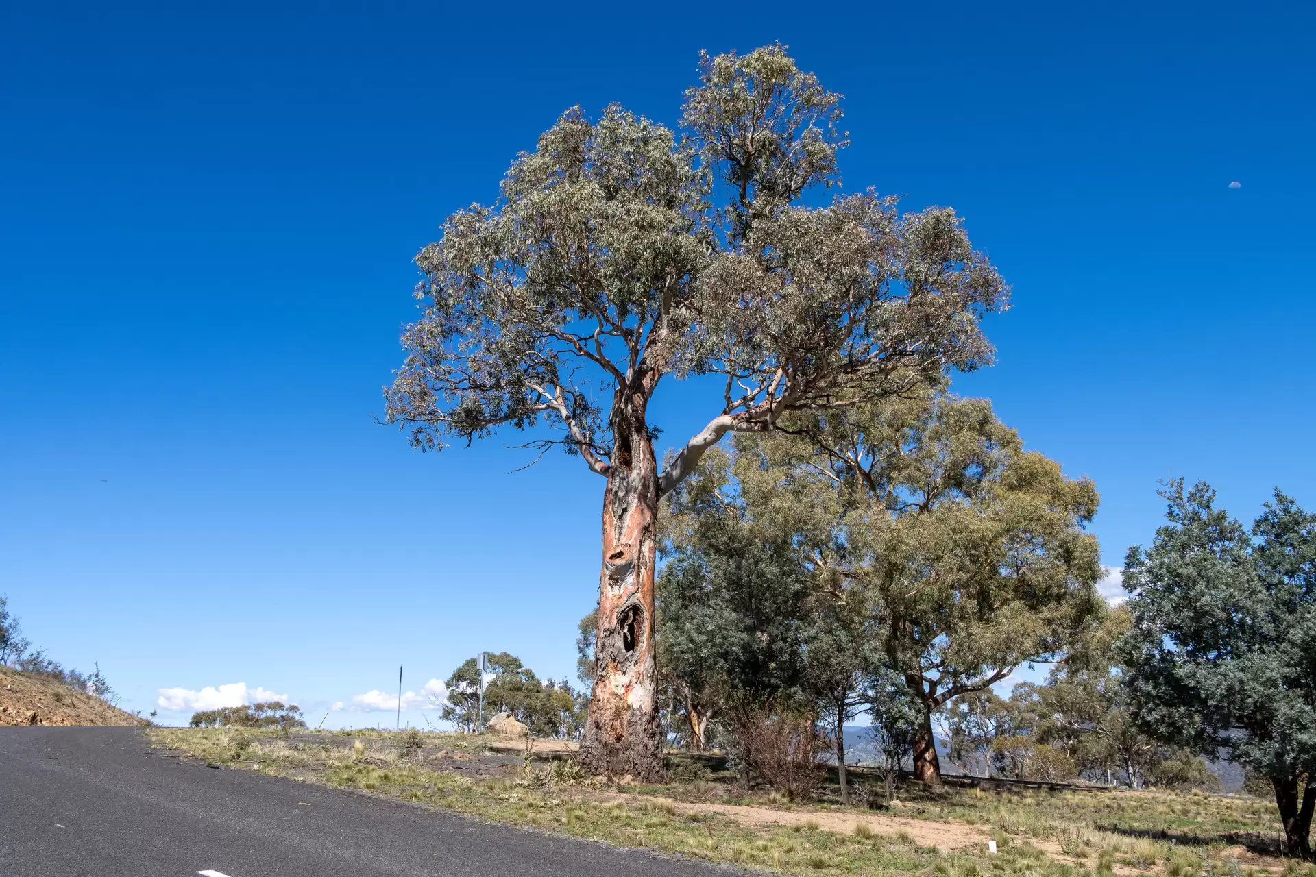 Lot 39, 374 Kalkite Road, Kalkite For Sale by Sydney Sotheby's International Realty - image 3