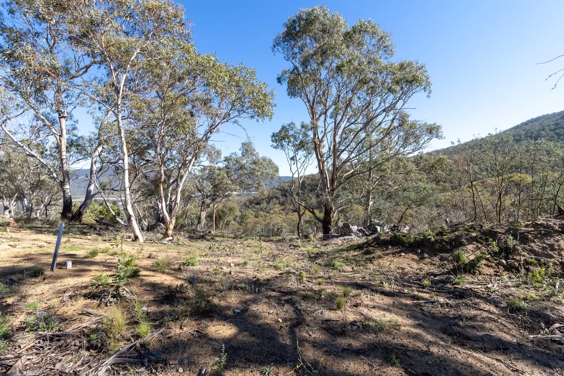 Lot 45, 374 Kalkite Road, Kalkite For Sale by Sydney Sotheby's International Realty - image 2