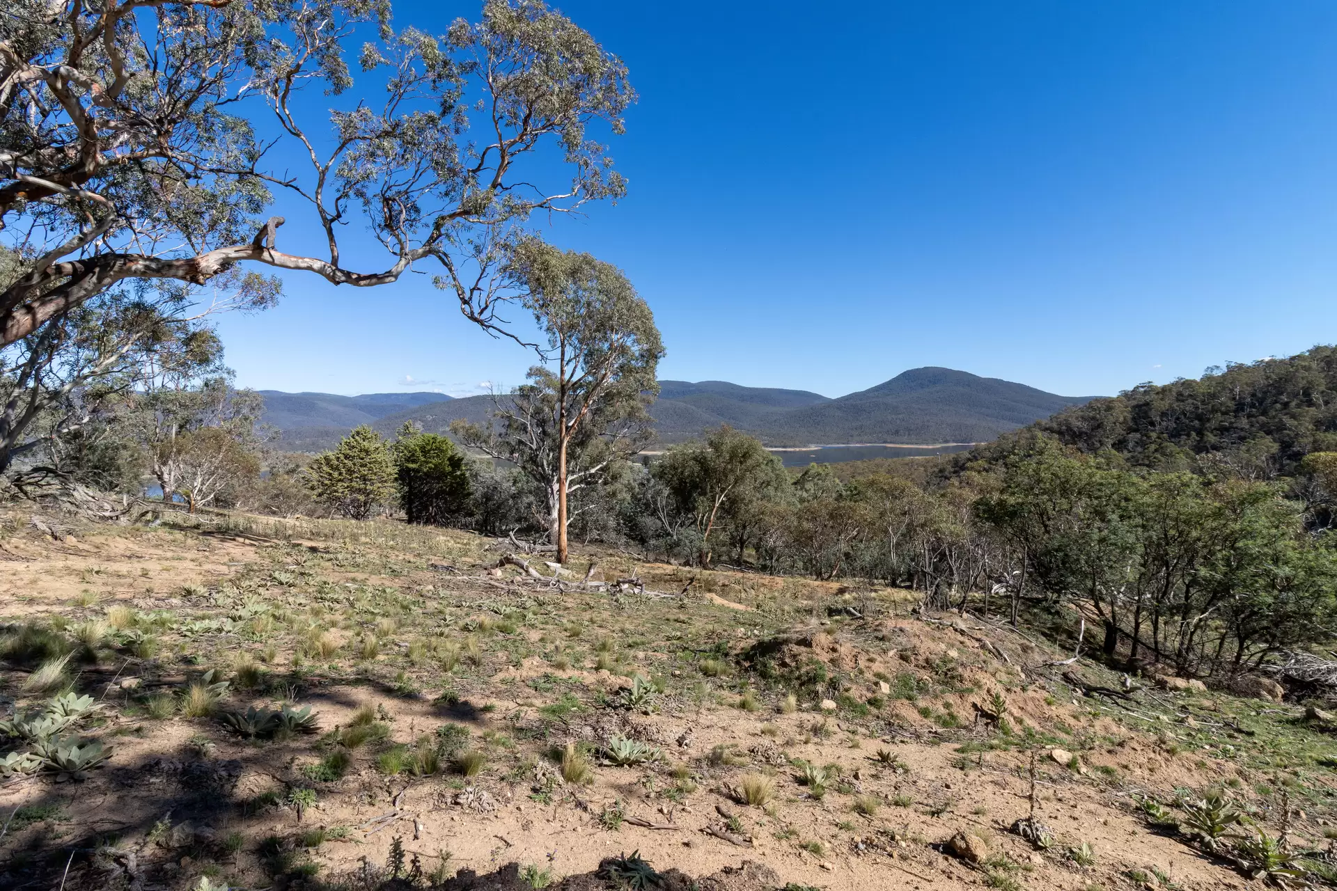 Lot 45, 374 Kalkite Road, Kalkite For Sale by Sydney Sotheby's International Realty - image 4