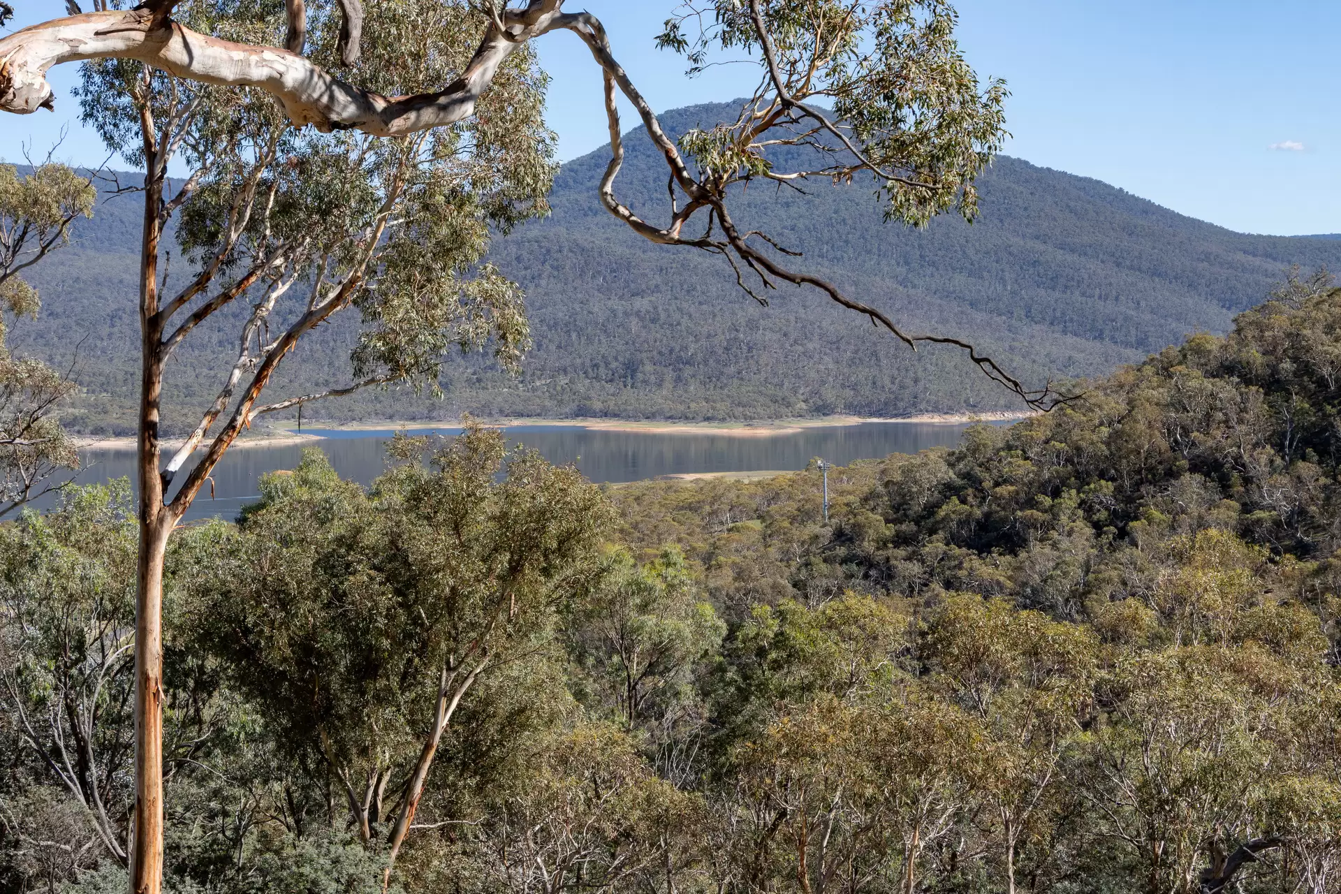 Lot 45, 374 Kalkite Road, Kalkite For Sale by Sydney Sotheby's International Realty - image 3