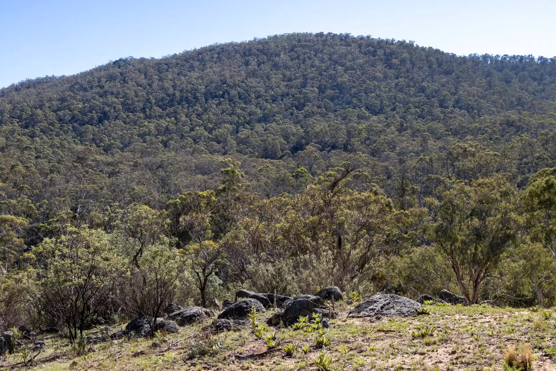 Lot 46, 374 Kalkite Road, Kalkite For Sale by Sydney Sotheby's International Realty - image 4
