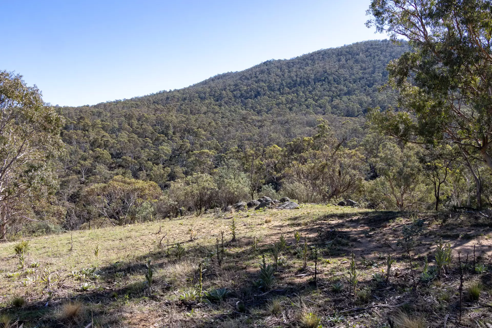 Lot 46, 374 Kalkite Road, Kalkite For Sale by Sydney Sotheby's International Realty - image 2
